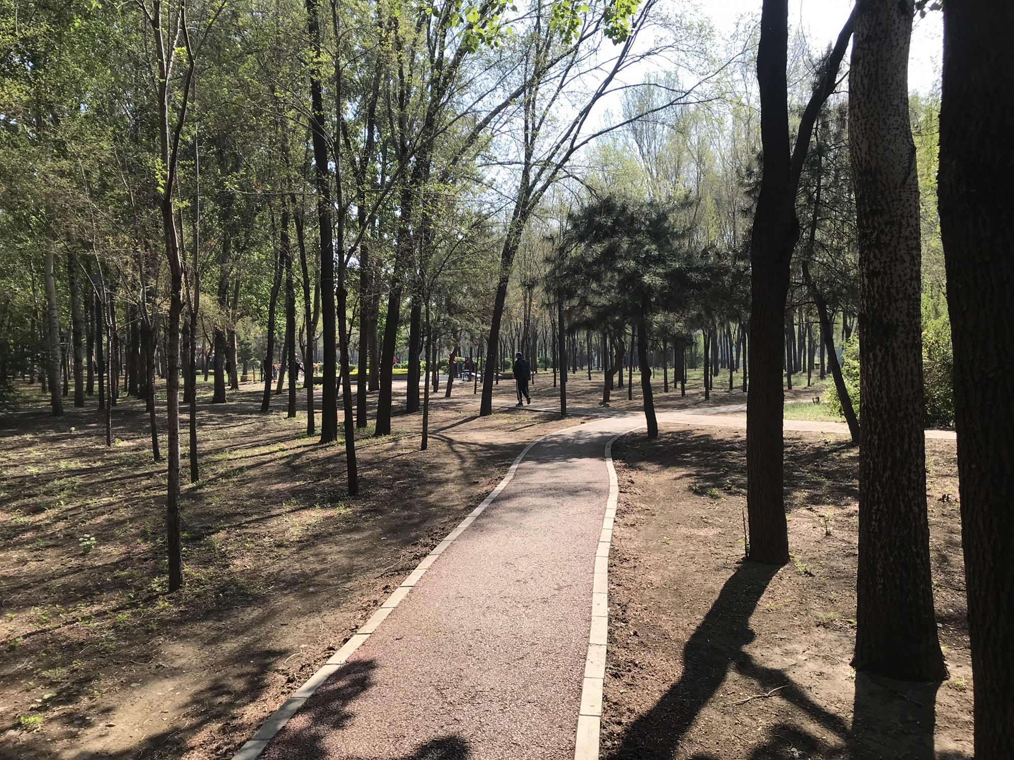 于洪怒江公园旅行图片 3