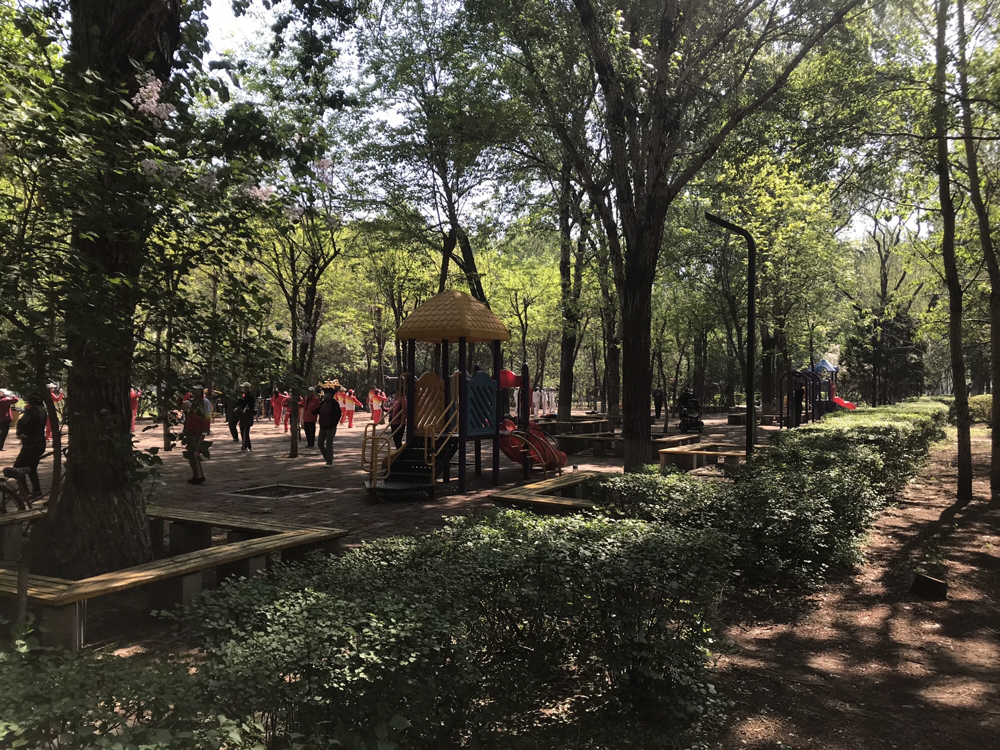 于洪怒江东公园旅行图片 2