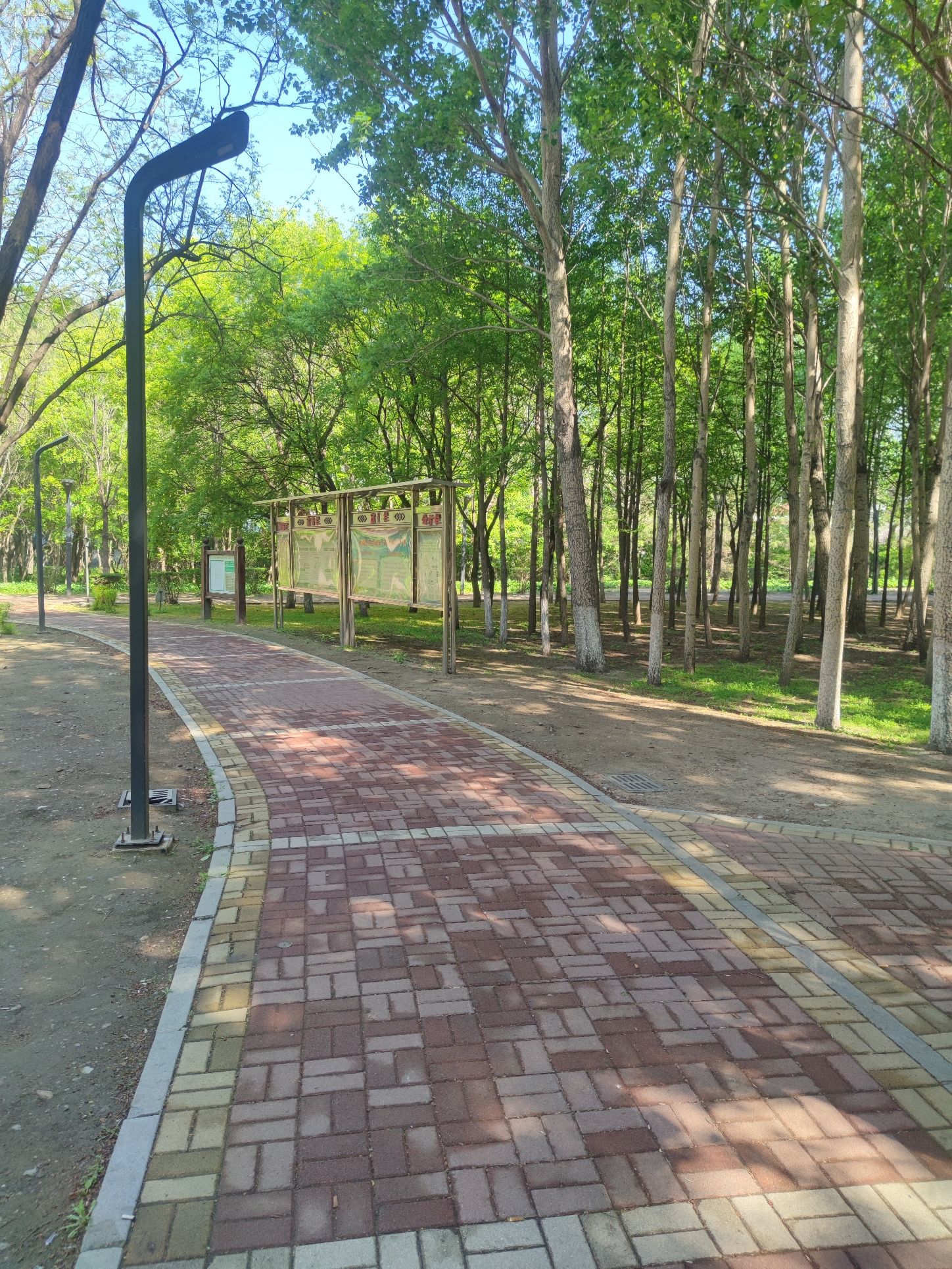 于洪怒江东公园