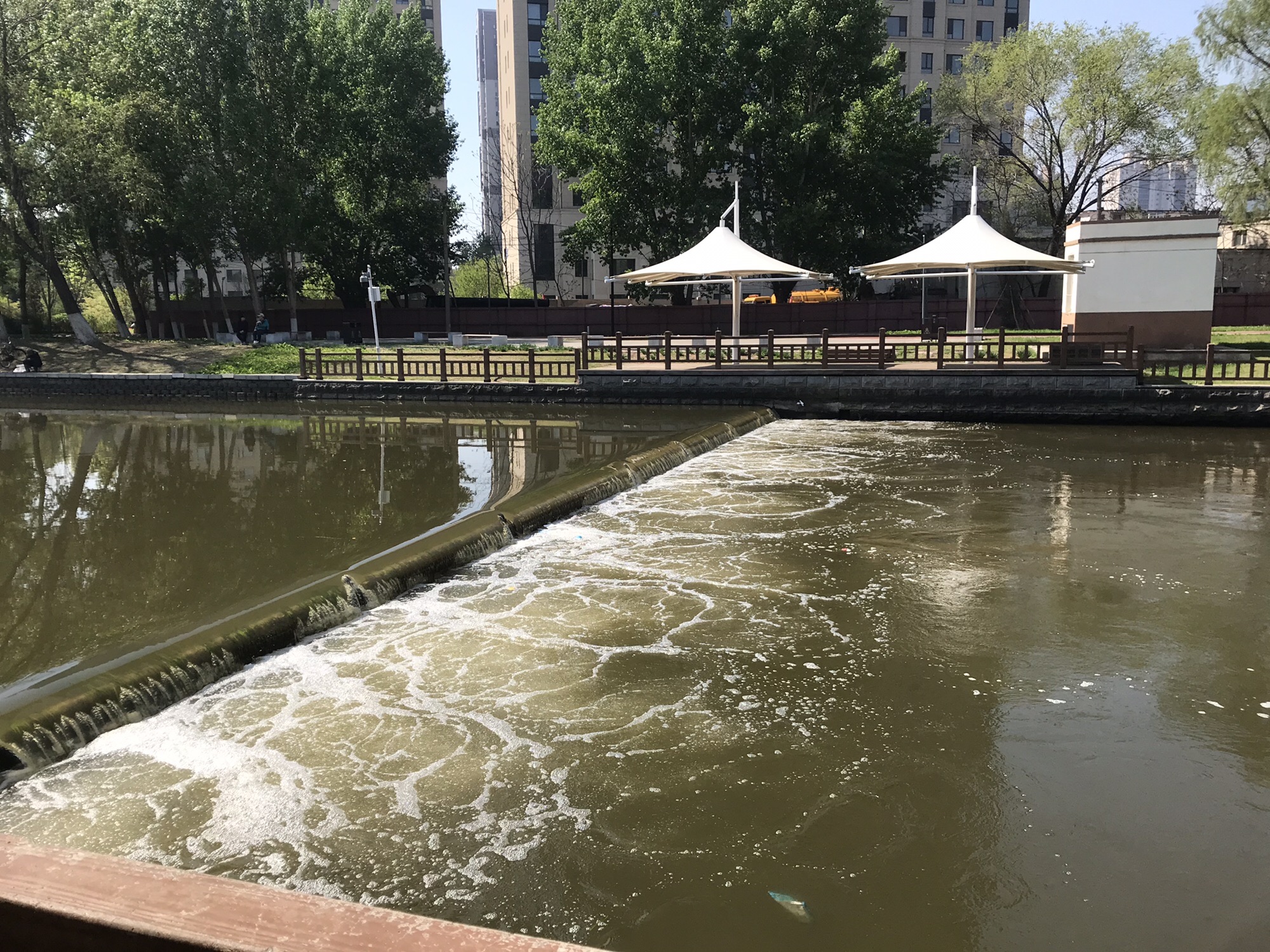 于洪怒江东公园旅行图片 3