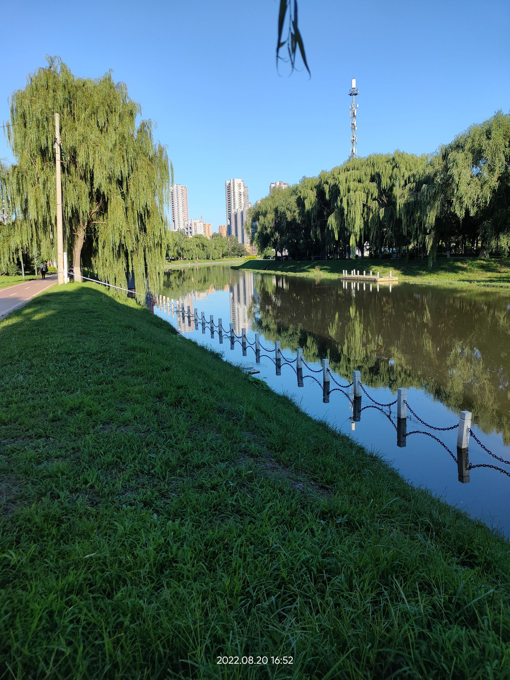 枫露公园旅行图片 1
