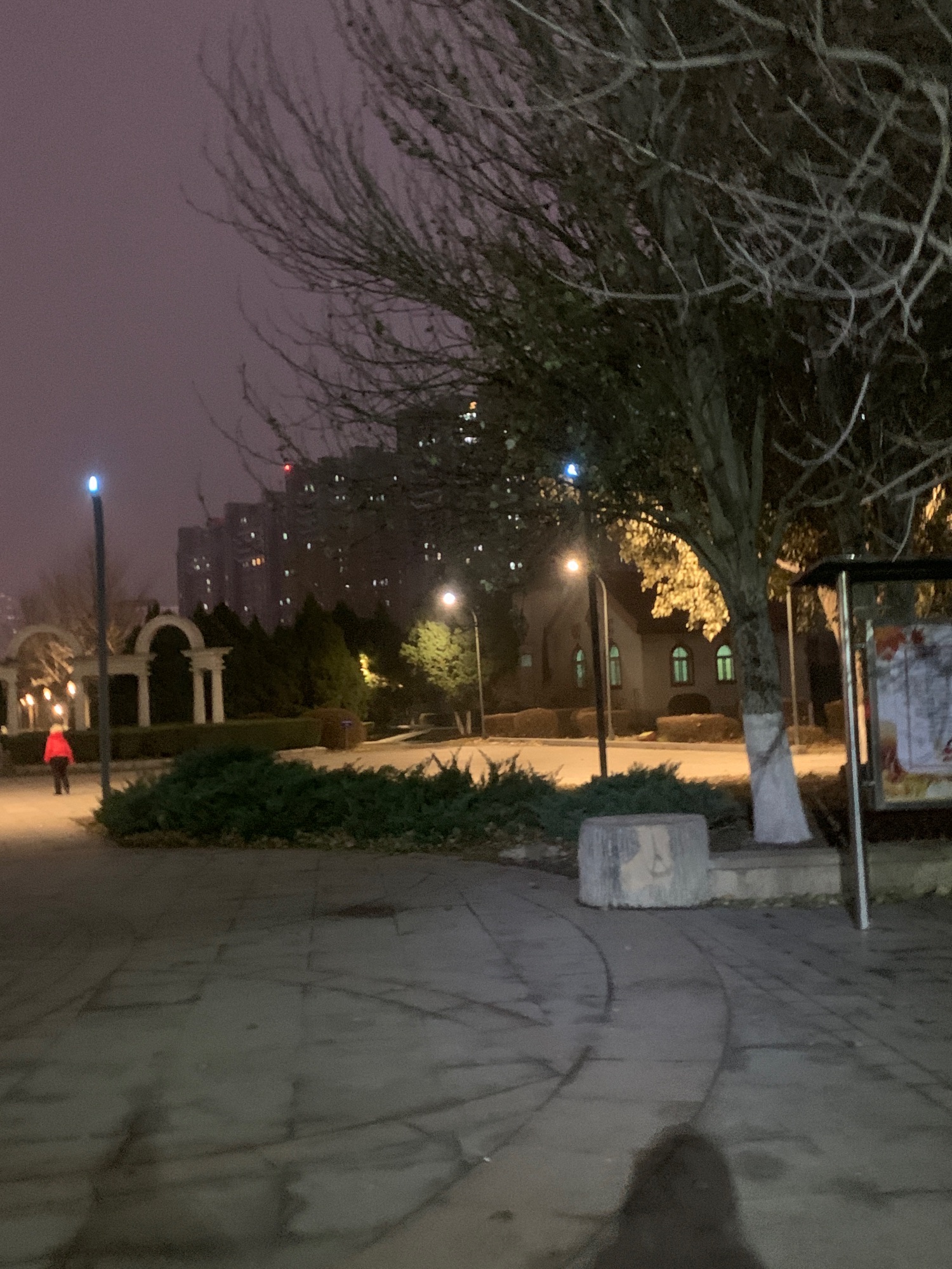 枫露公园旅行图片 2