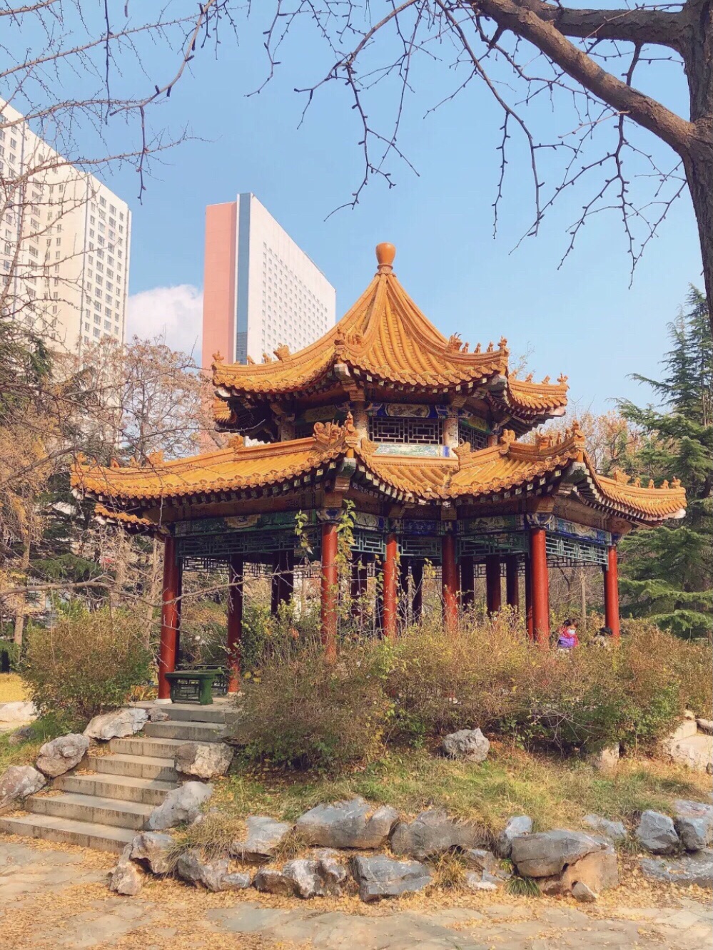 枫露公园旅行图片 1