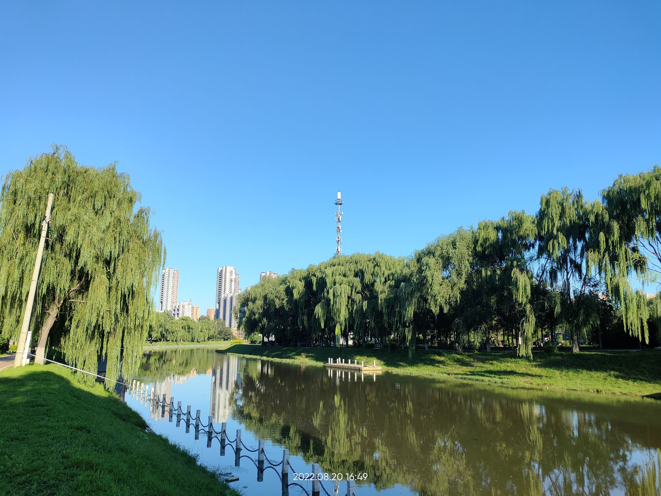 枫露公园旅行图片 2