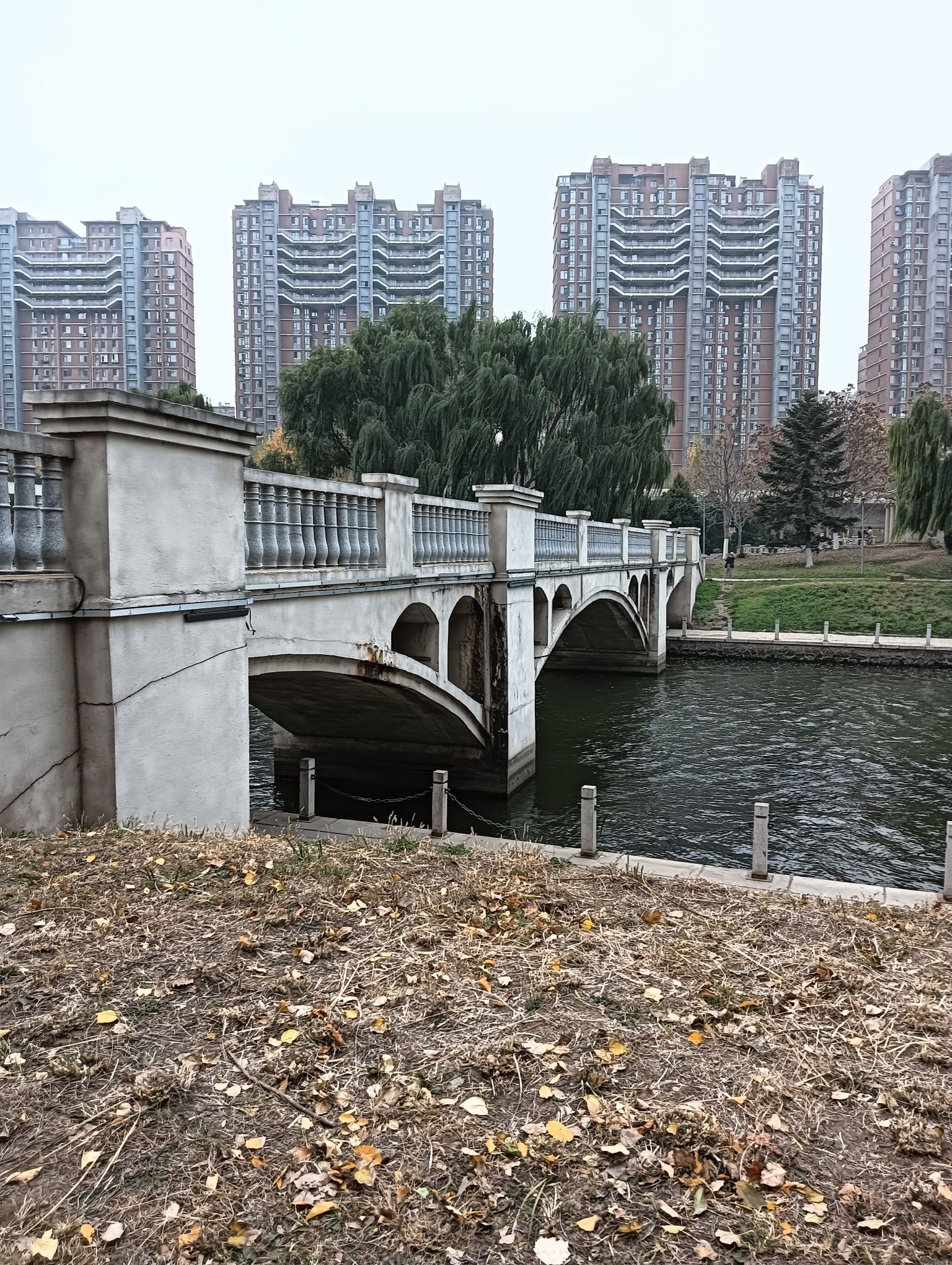 枫露公园旅行图片 3