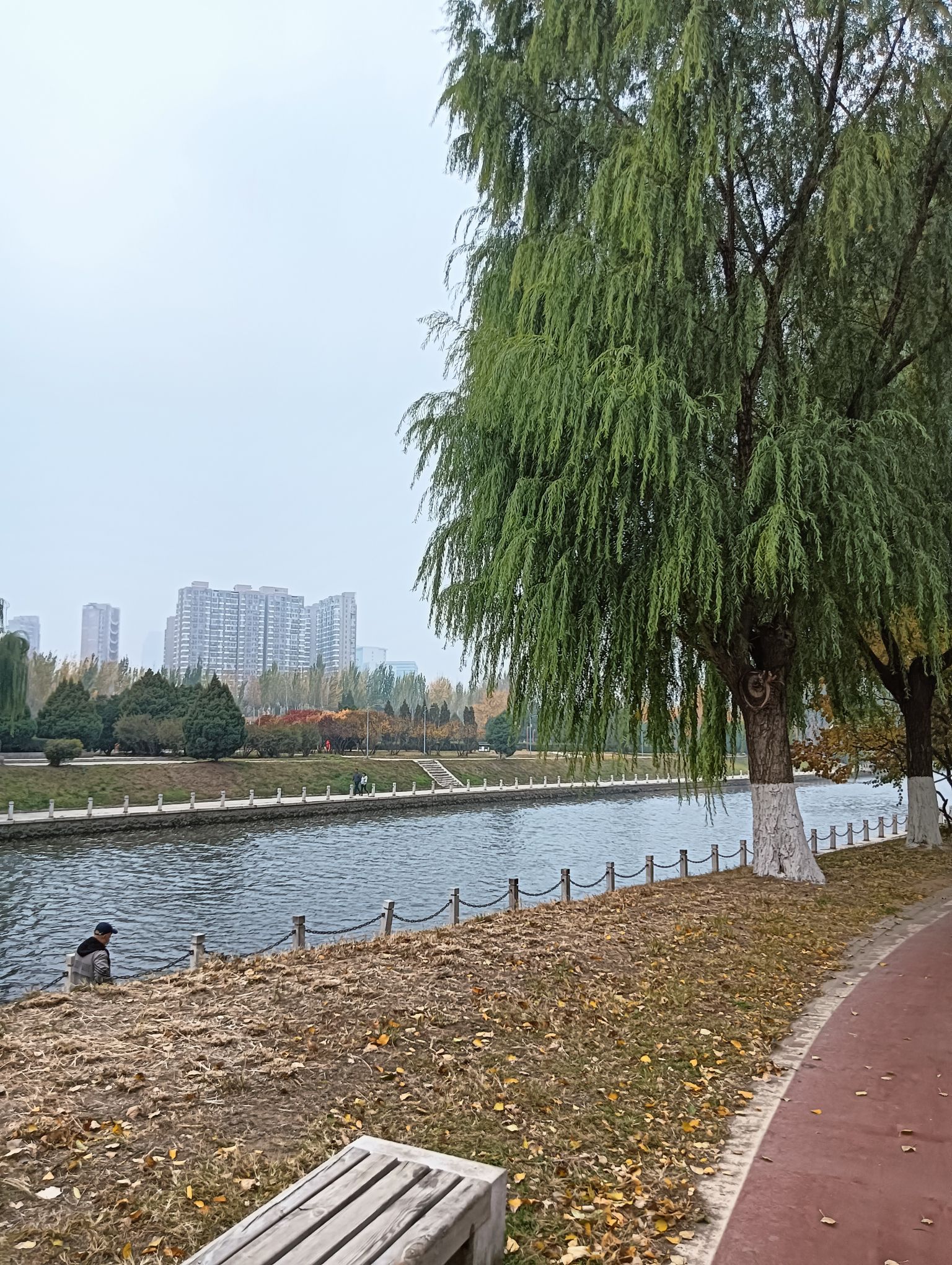 枫露公园旅行图片 2