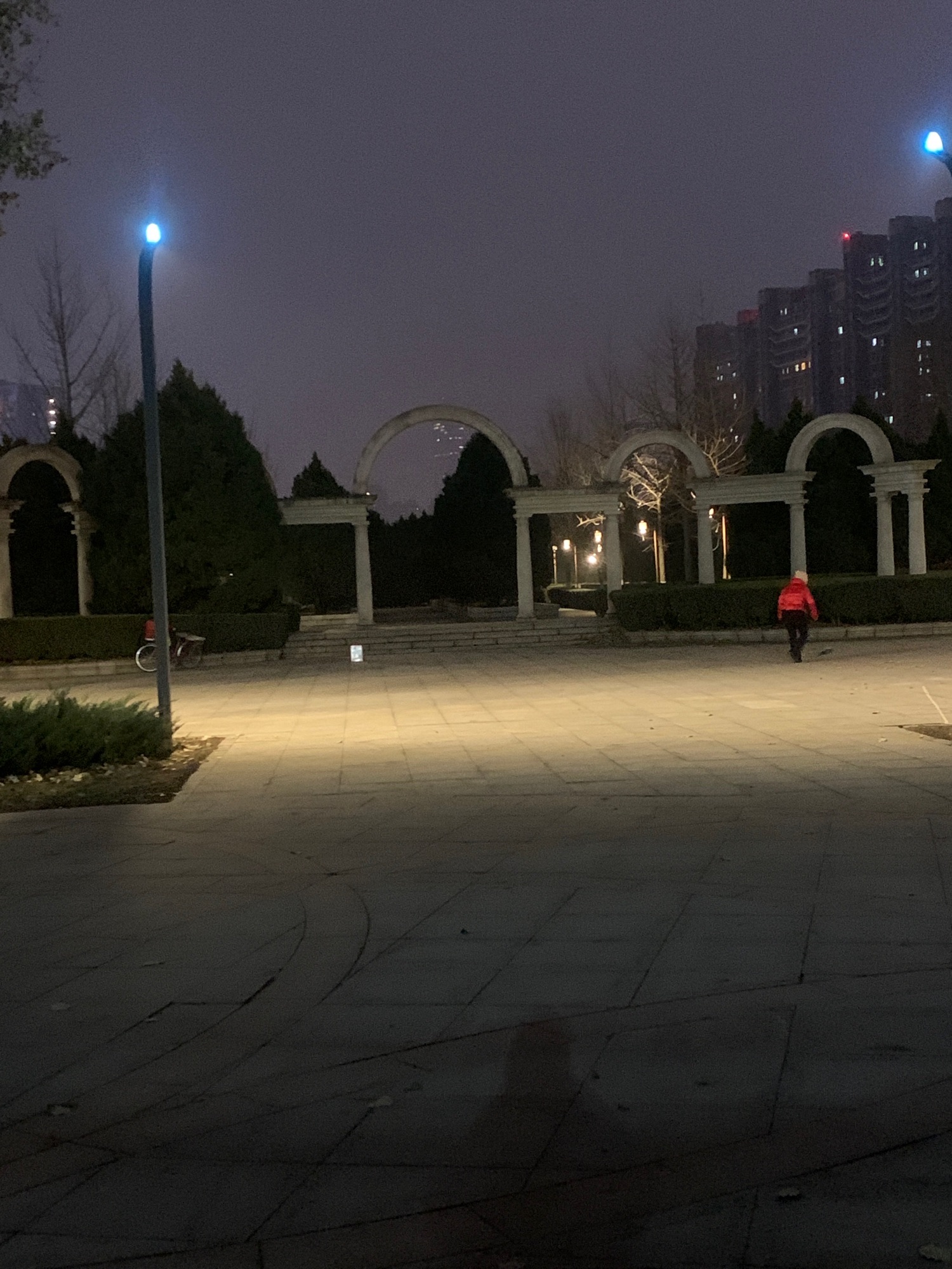 枫露公园旅行图片 3