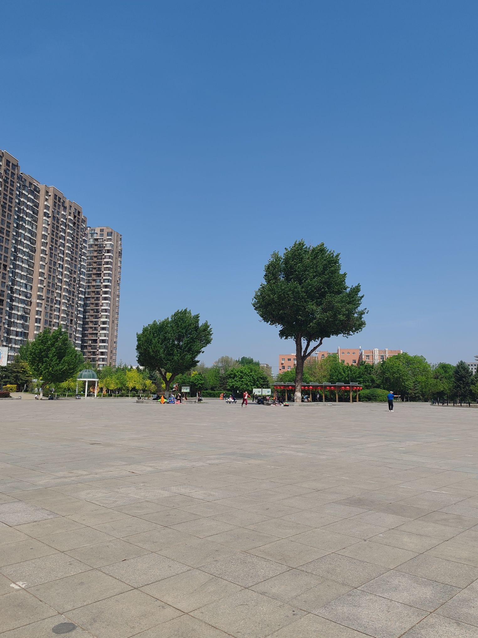 大东广场旅行图片 2