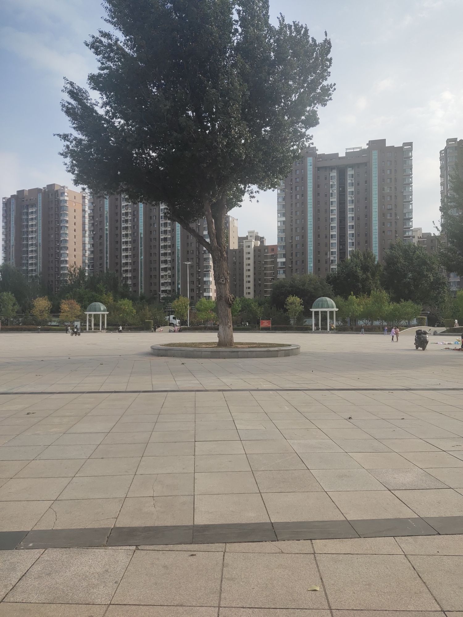 大东广场旅行图片 3