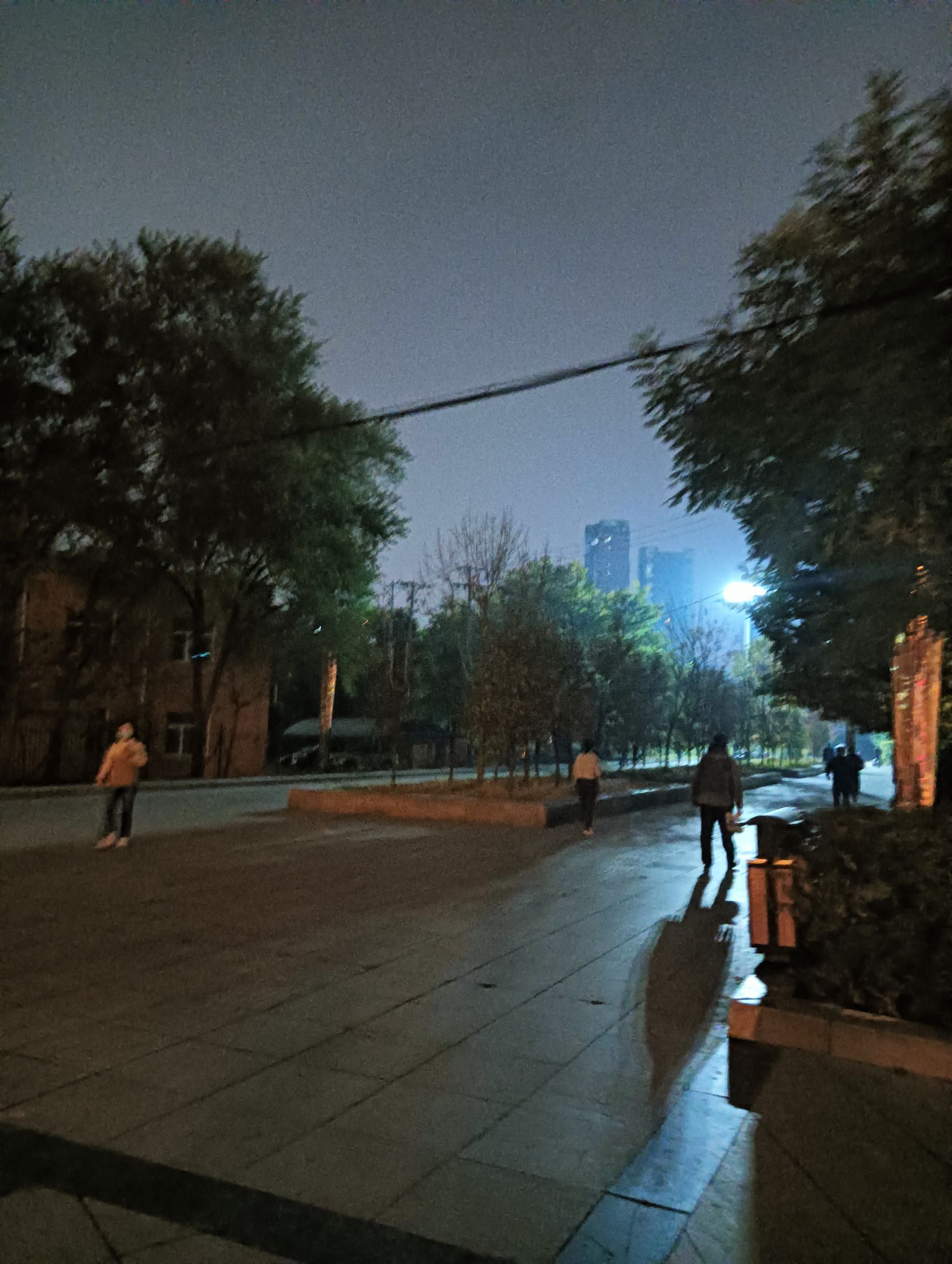 大东广场旅行图片 3