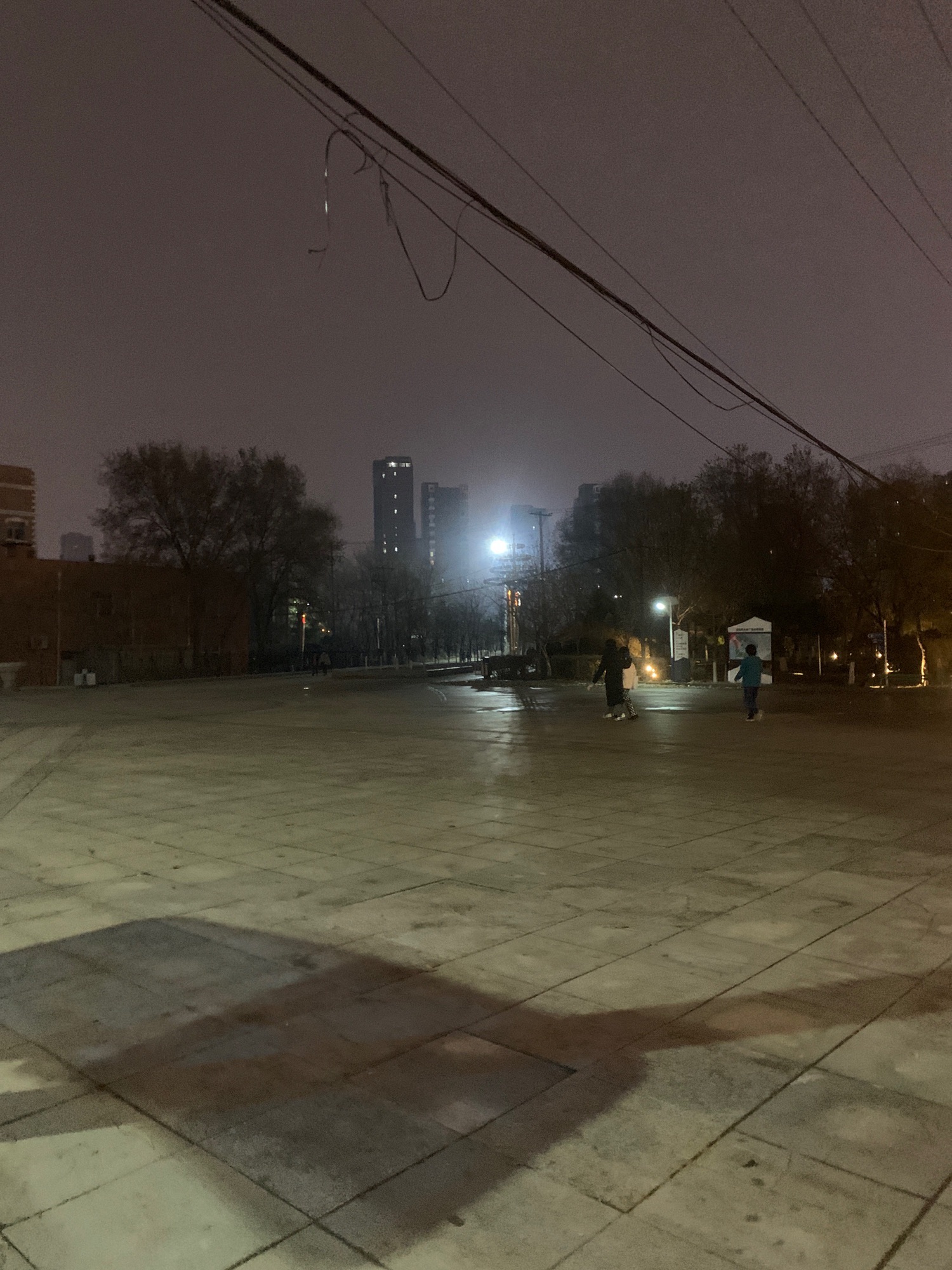 大东广场旅行图片 1