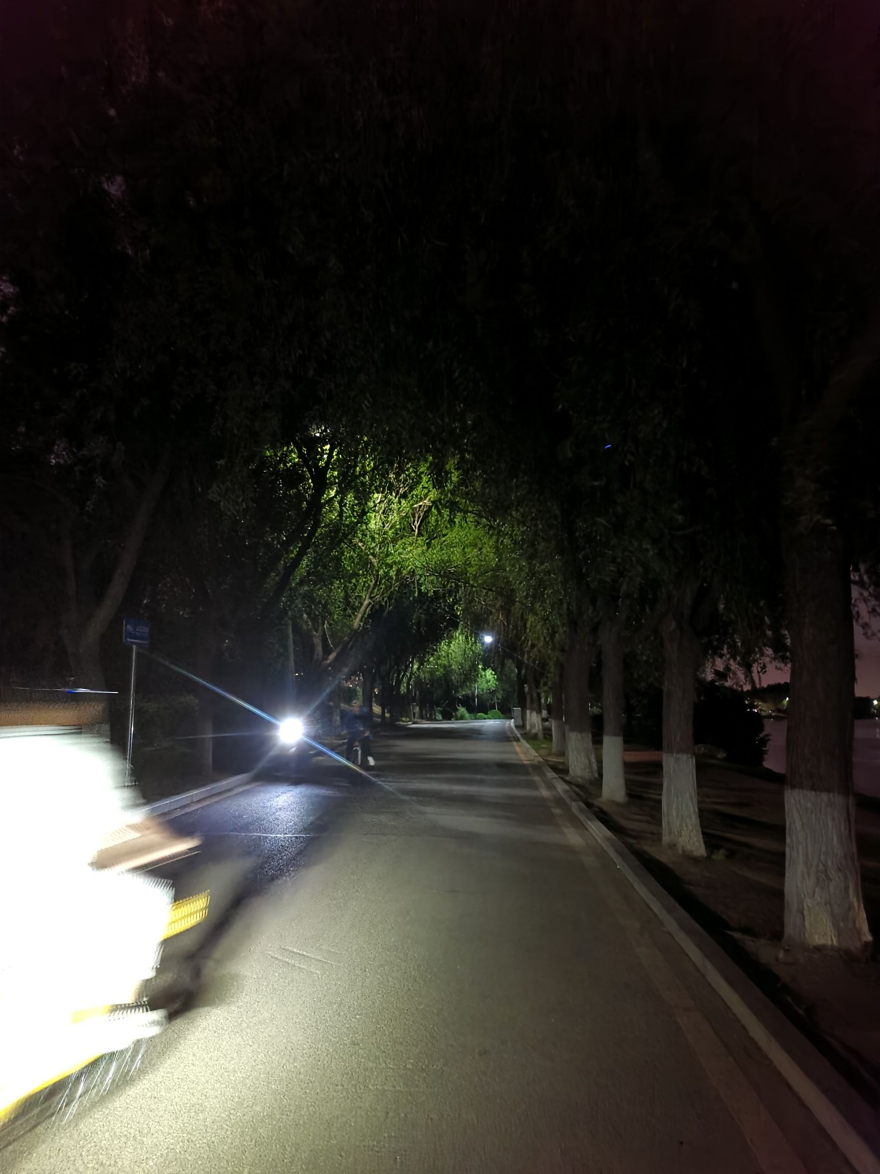 大东广场旅行图片 2