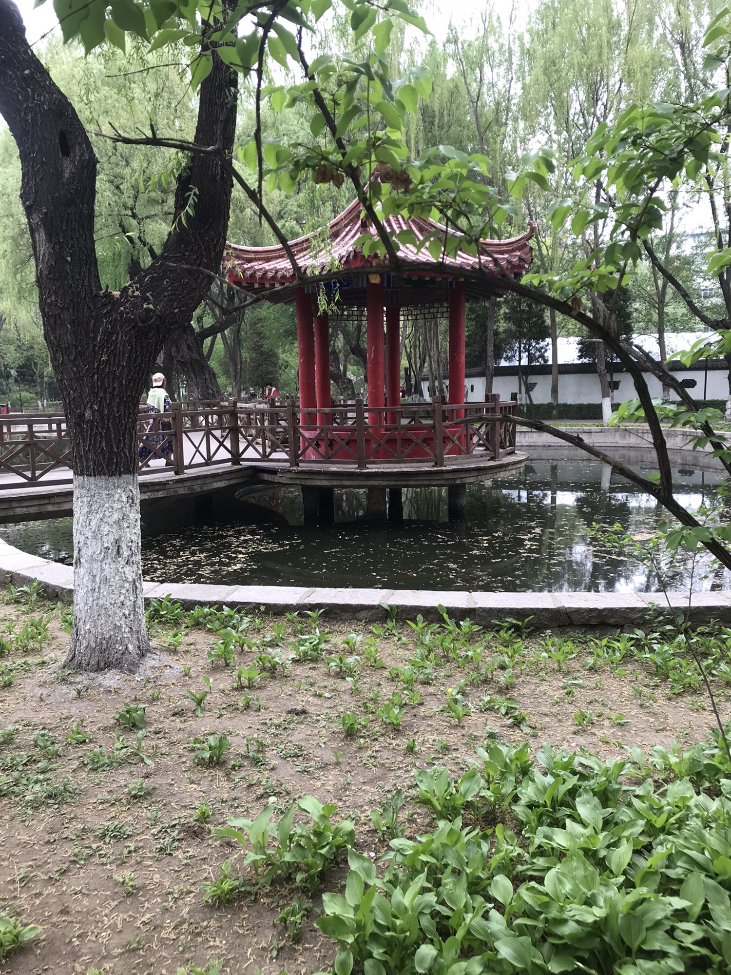 鲁迅公园旅行图片 3