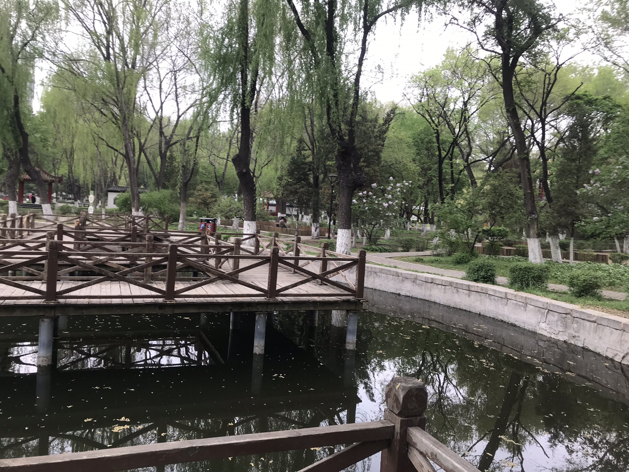 鲁迅公园旅行图片 2