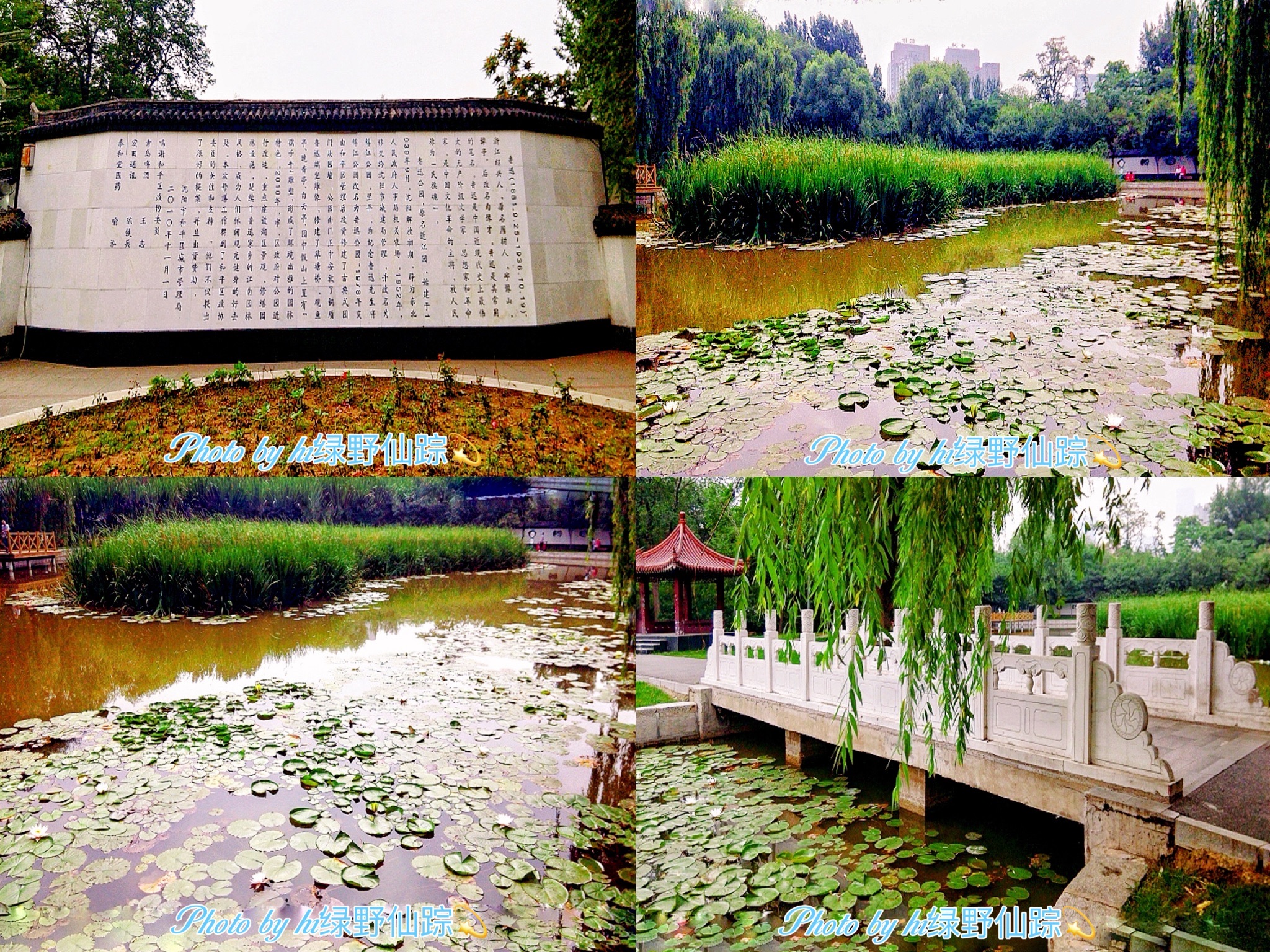 鲁迅公园旅行图片 2