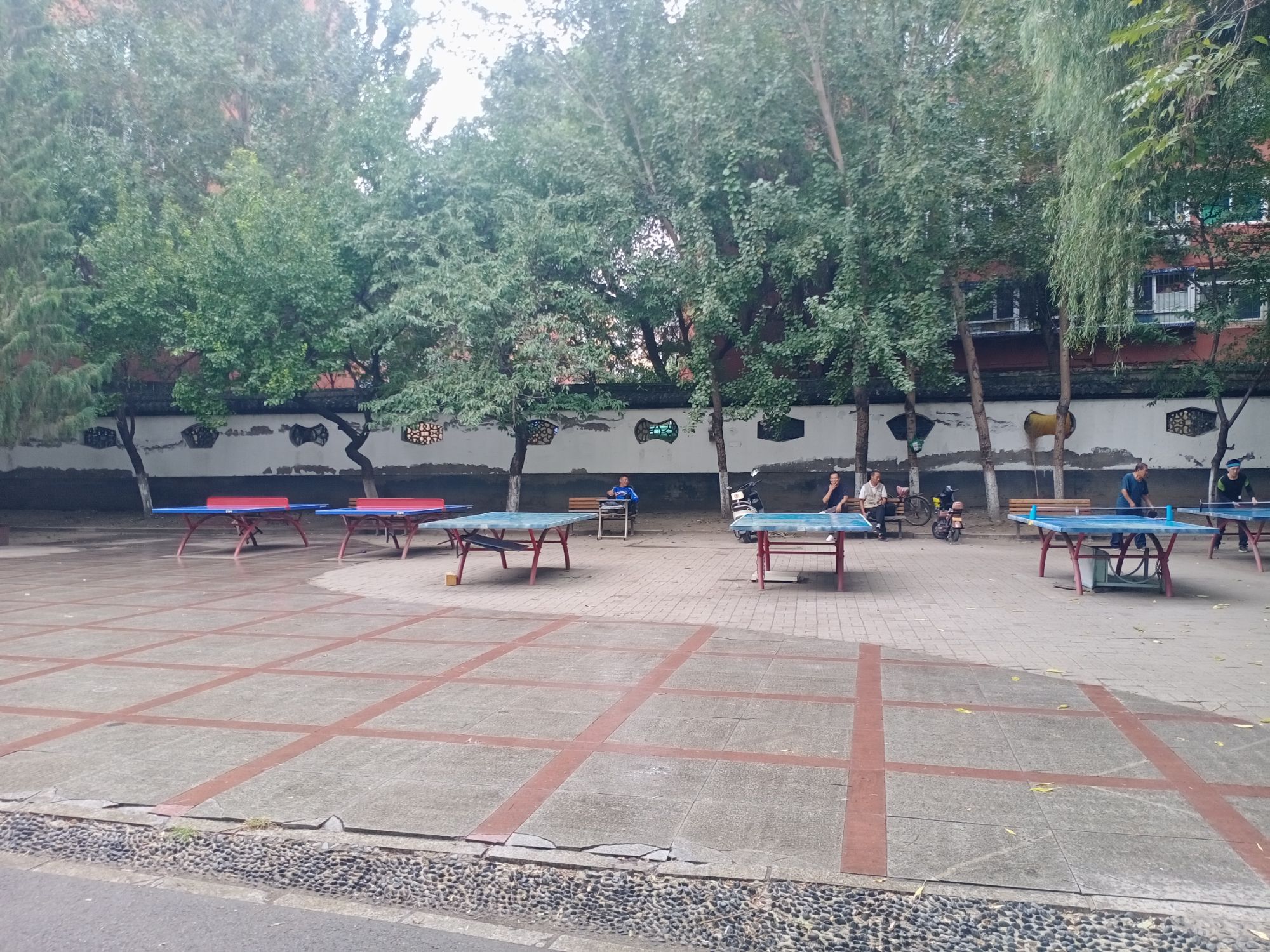 鲁迅公园旅行图片 2