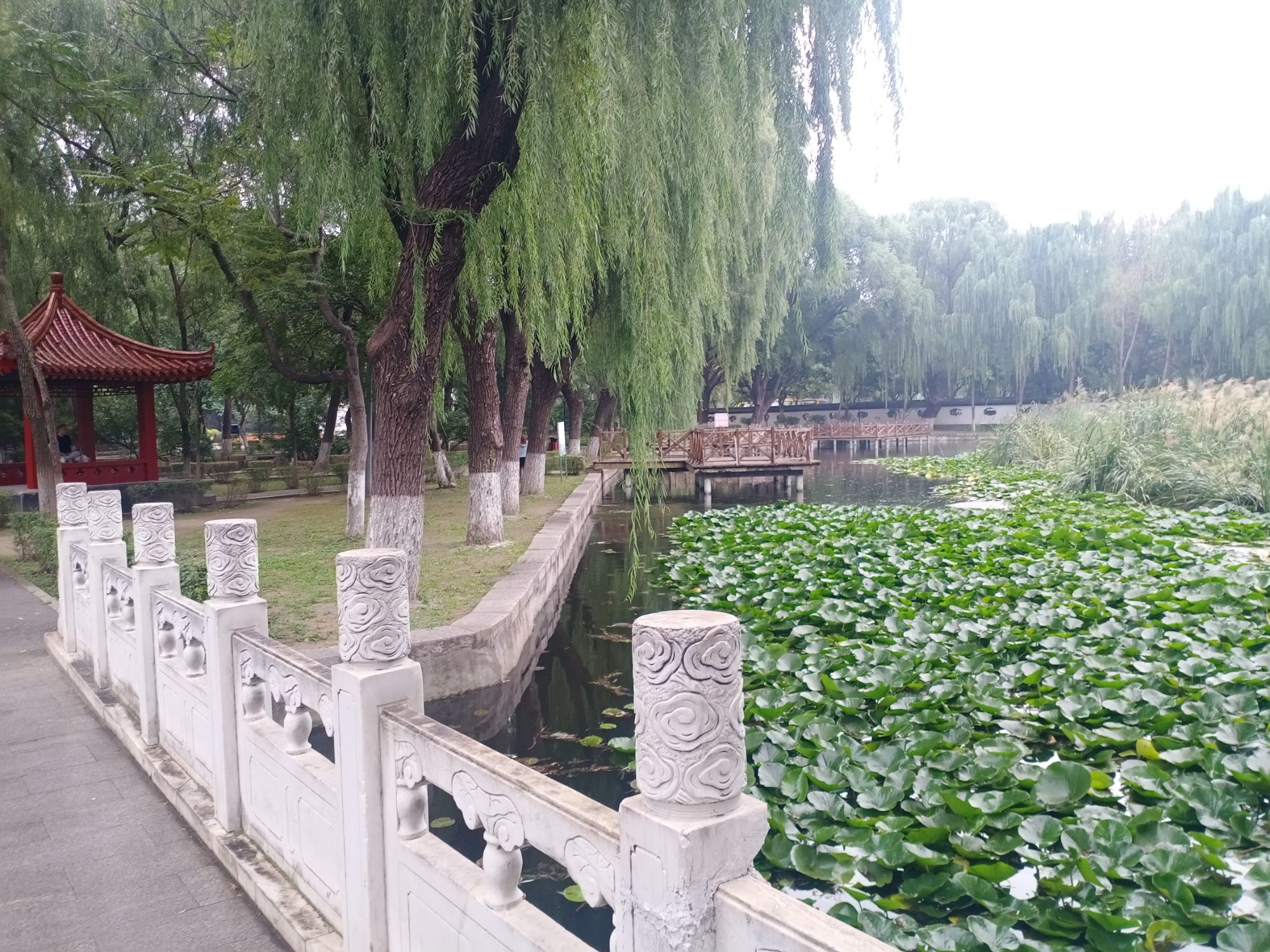 鲁迅公园旅行图片 3