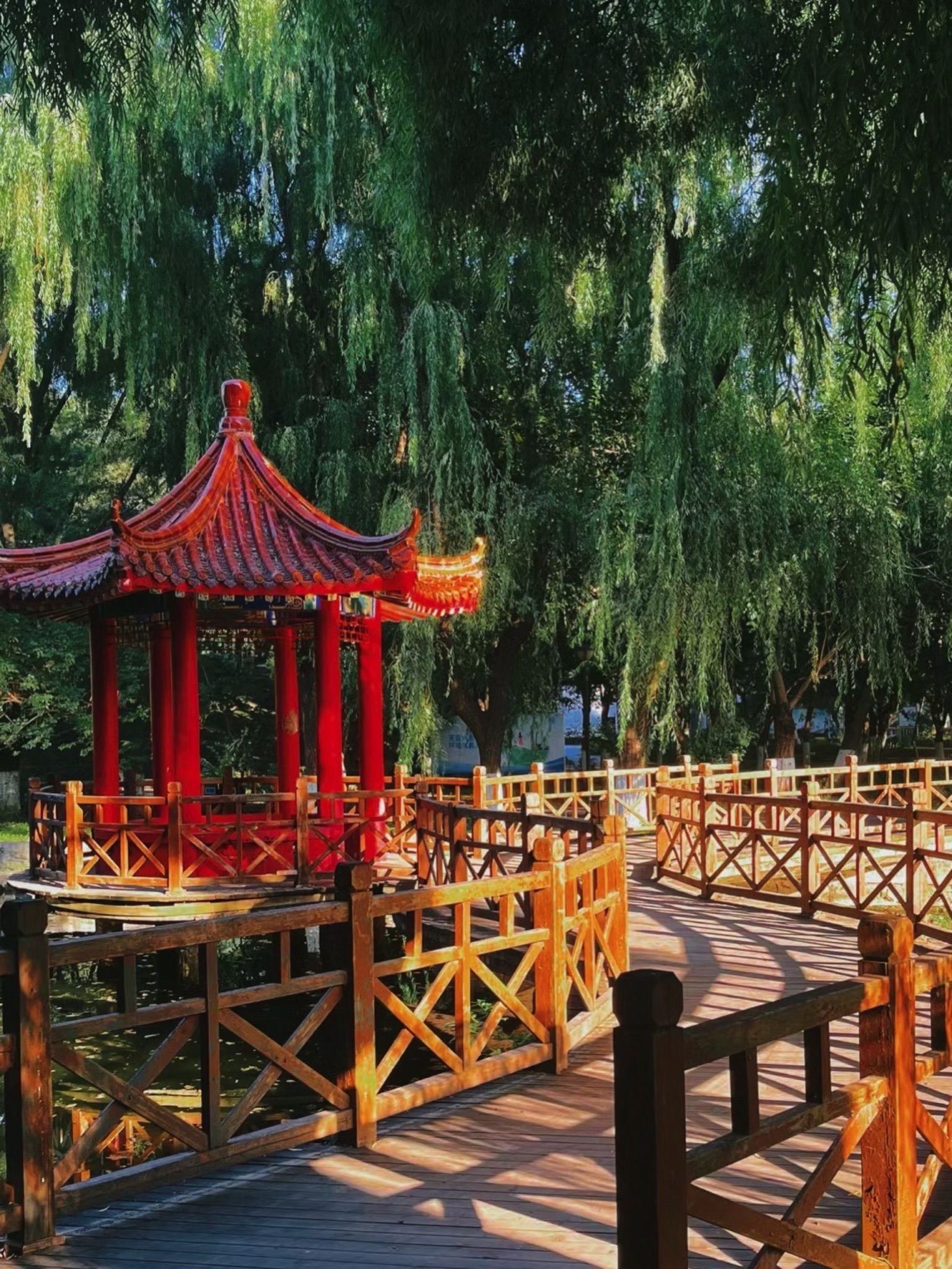 鲁迅公园旅行图片 3