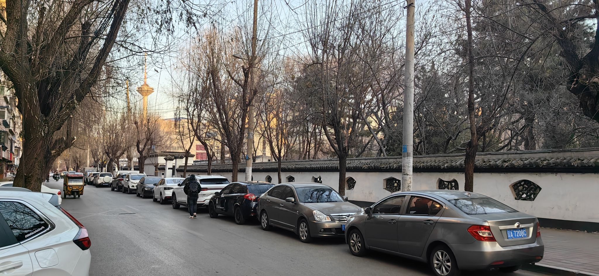 鲁迅公园旅行图片 1