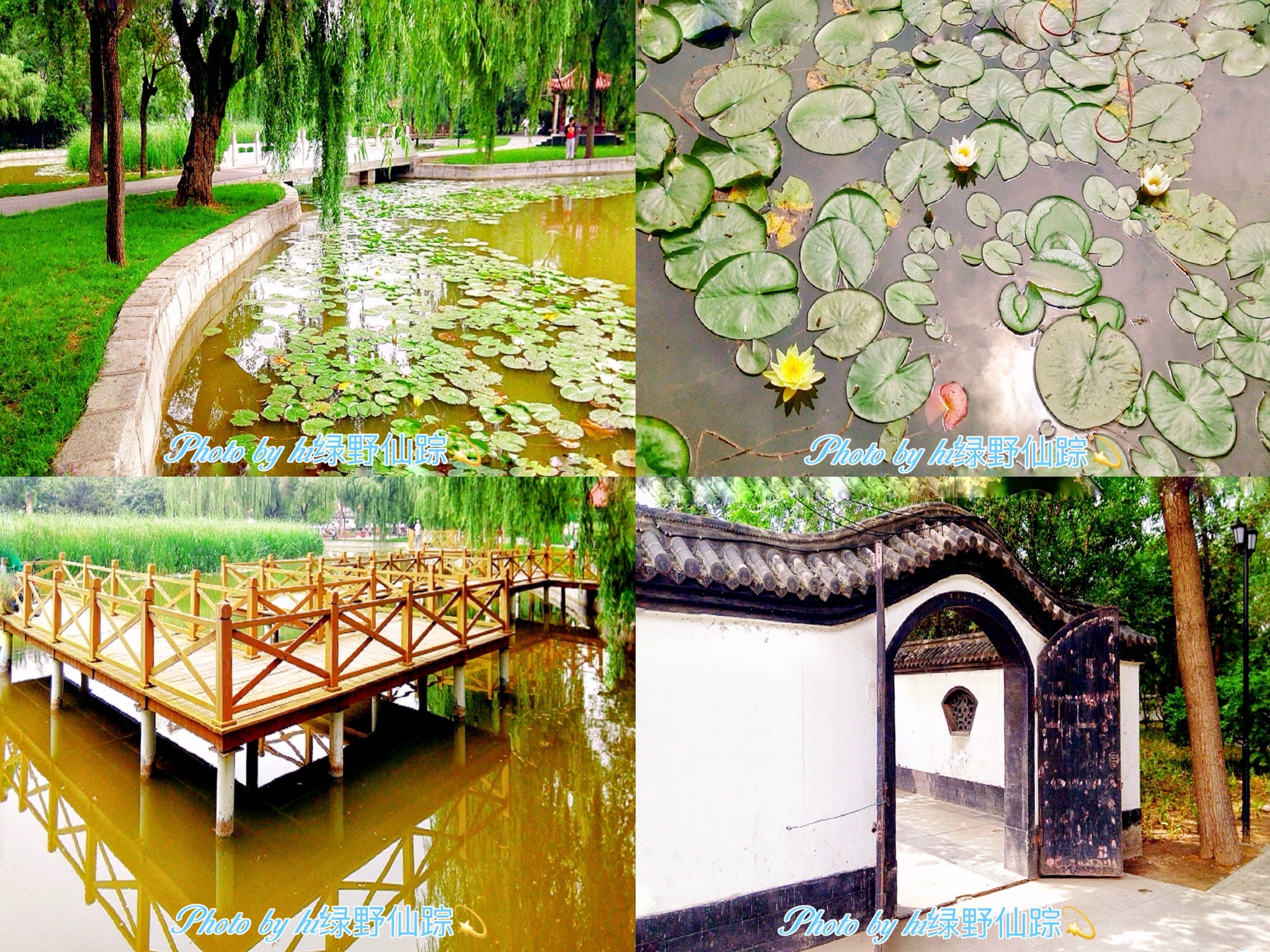 鲁迅公园旅行图片 3