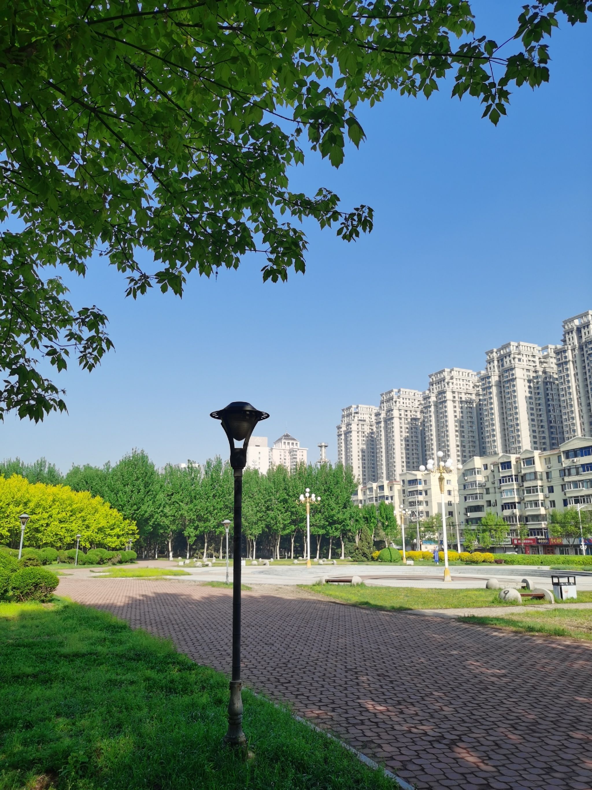 龙王庙公园旅行图片 1