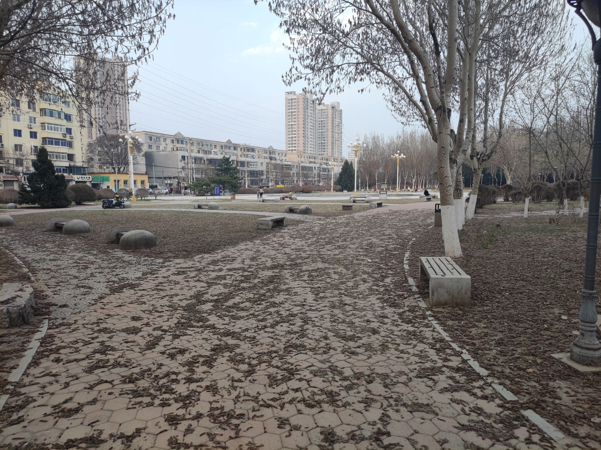 龙王庙公园旅行图片 1