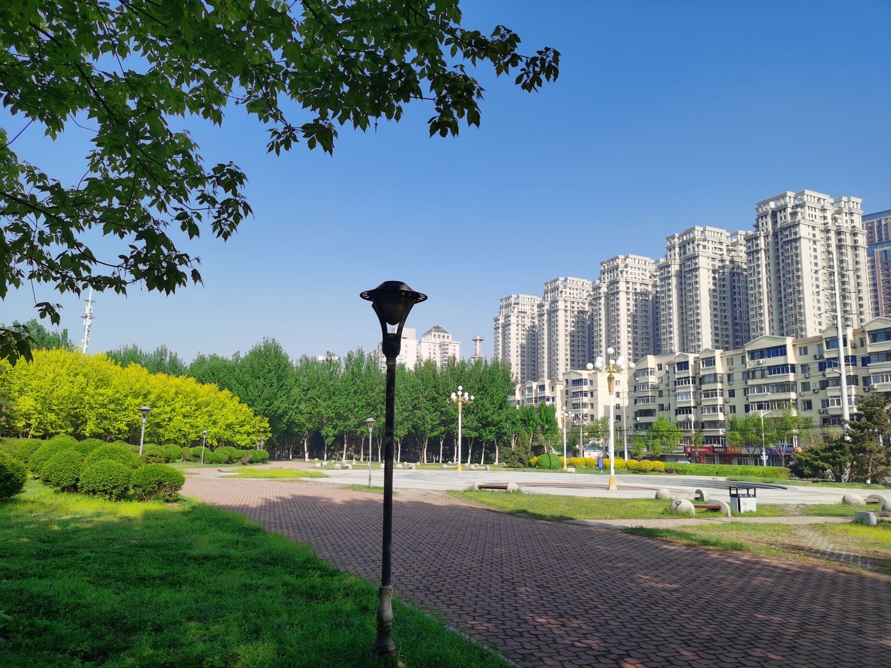 龙王庙公园旅行图片 2