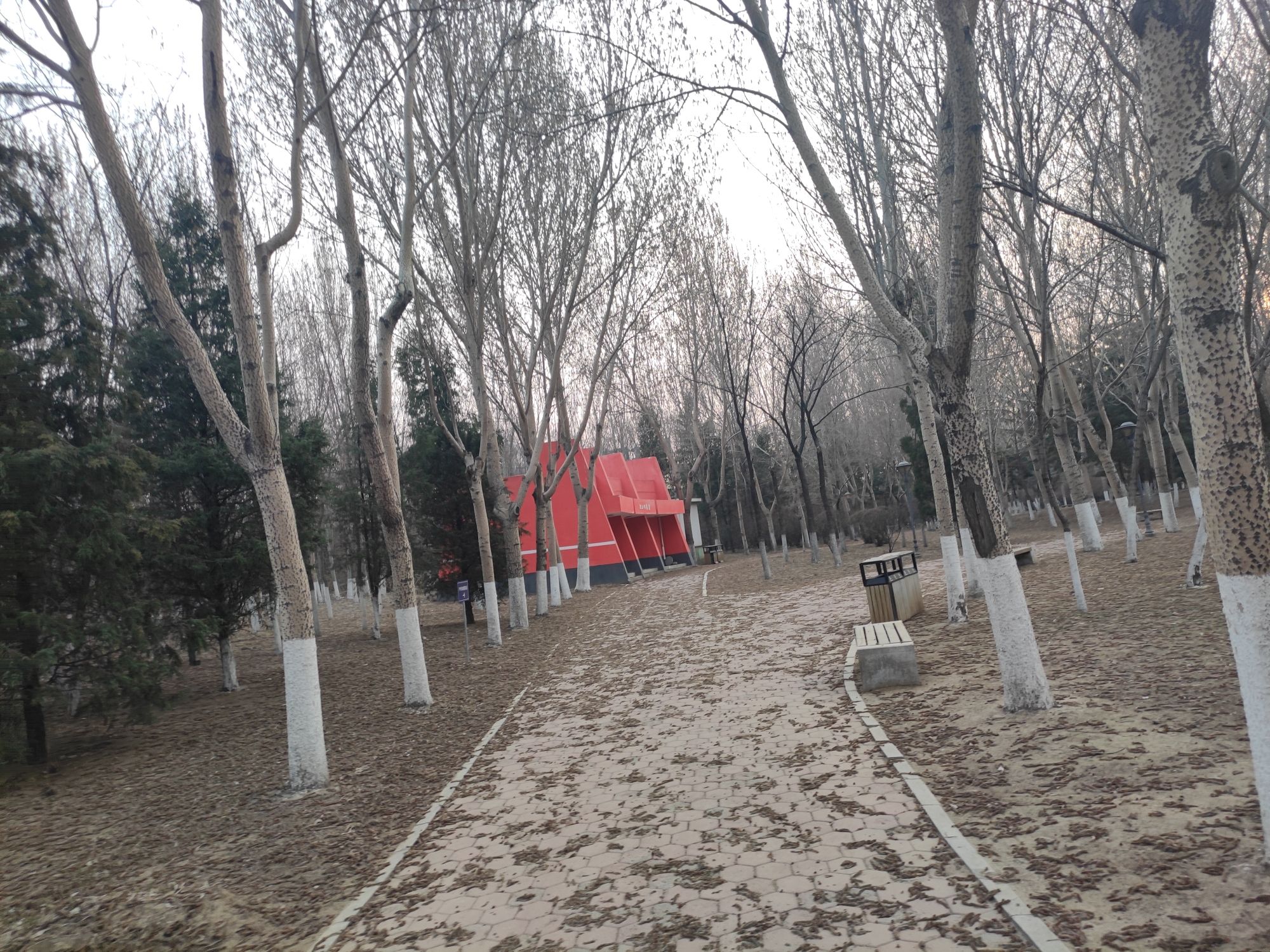 龙王庙公园旅行图片 2
