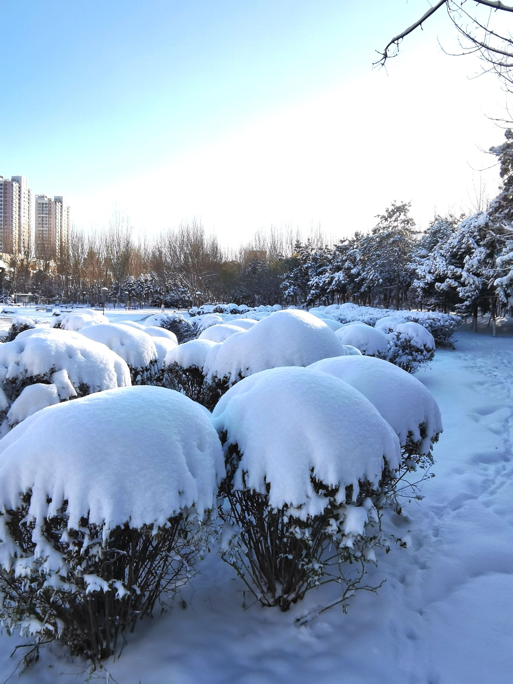 龙王庙公园旅行图片 2