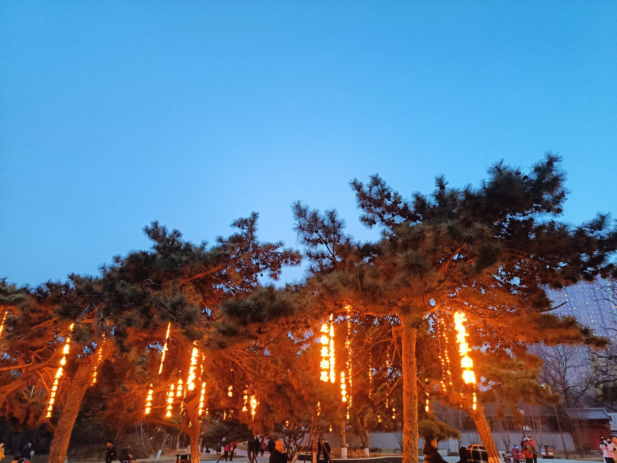 万柳塘公园旅行图片 2