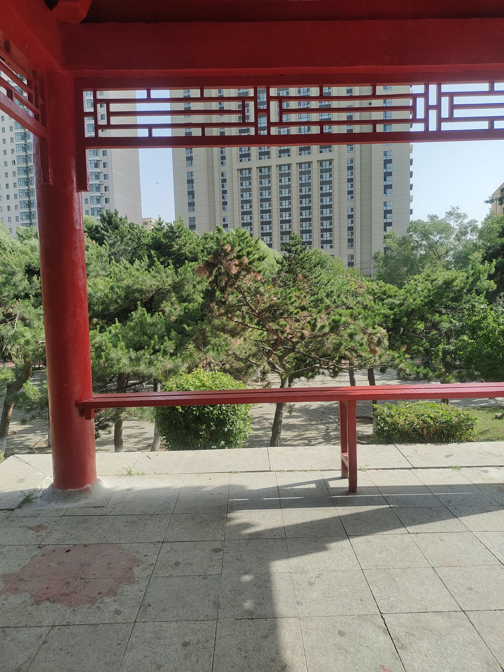 中山公园(和平南大街)旅行图片 2