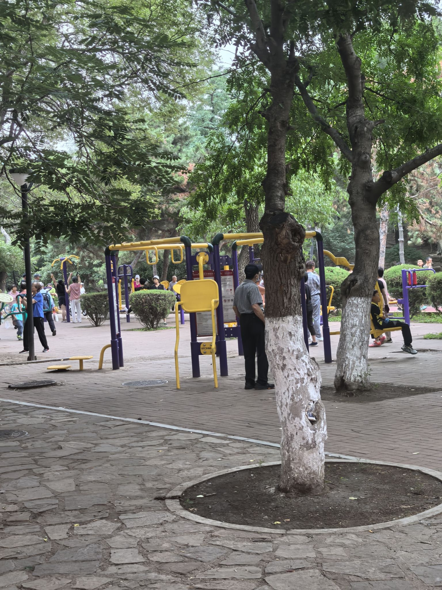 中山公园(和平南大街)旅行图片 3