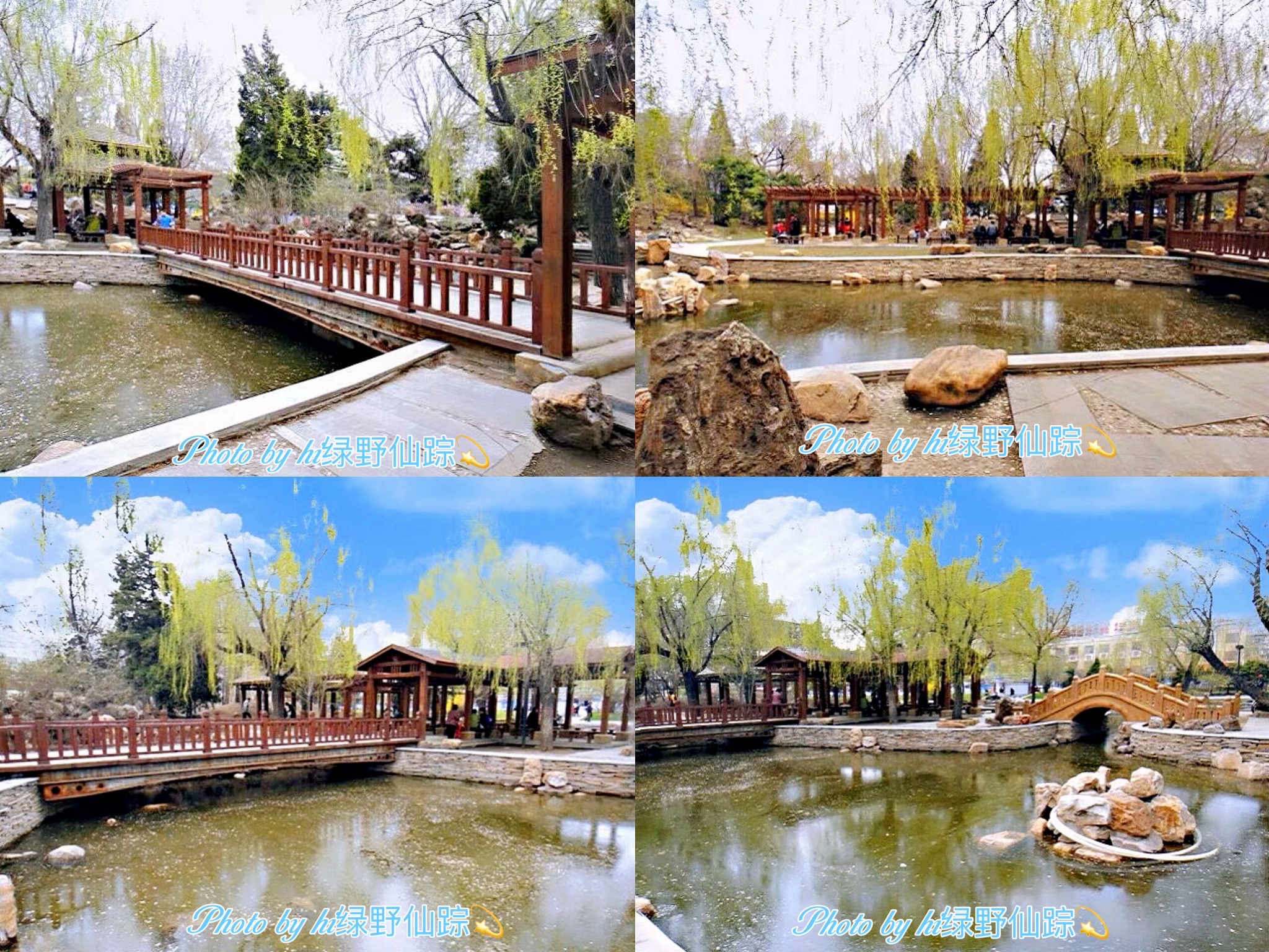 中山公园(和平南大街)旅行图片 2