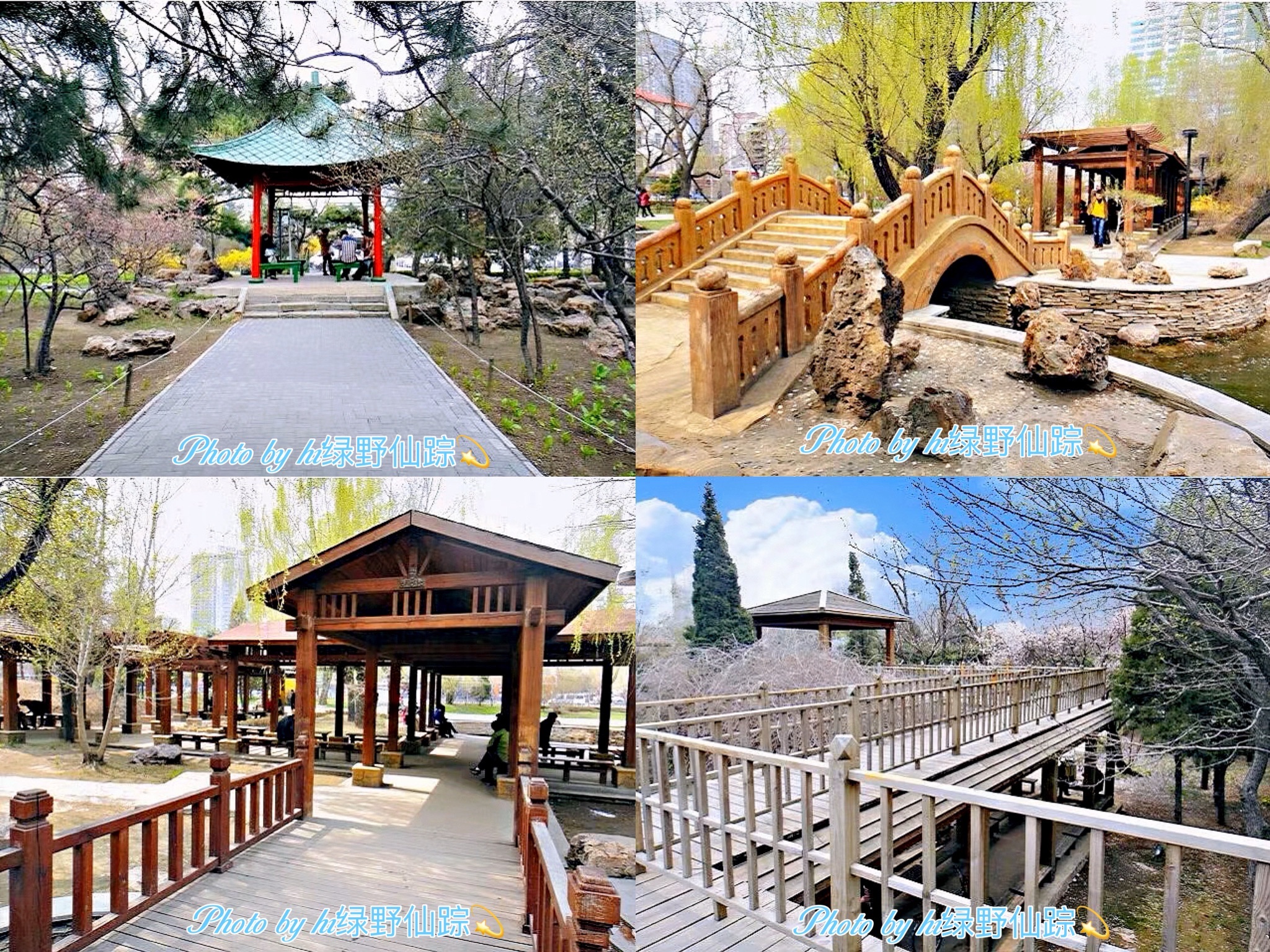 中山公园(和平南大街)旅行图片 3