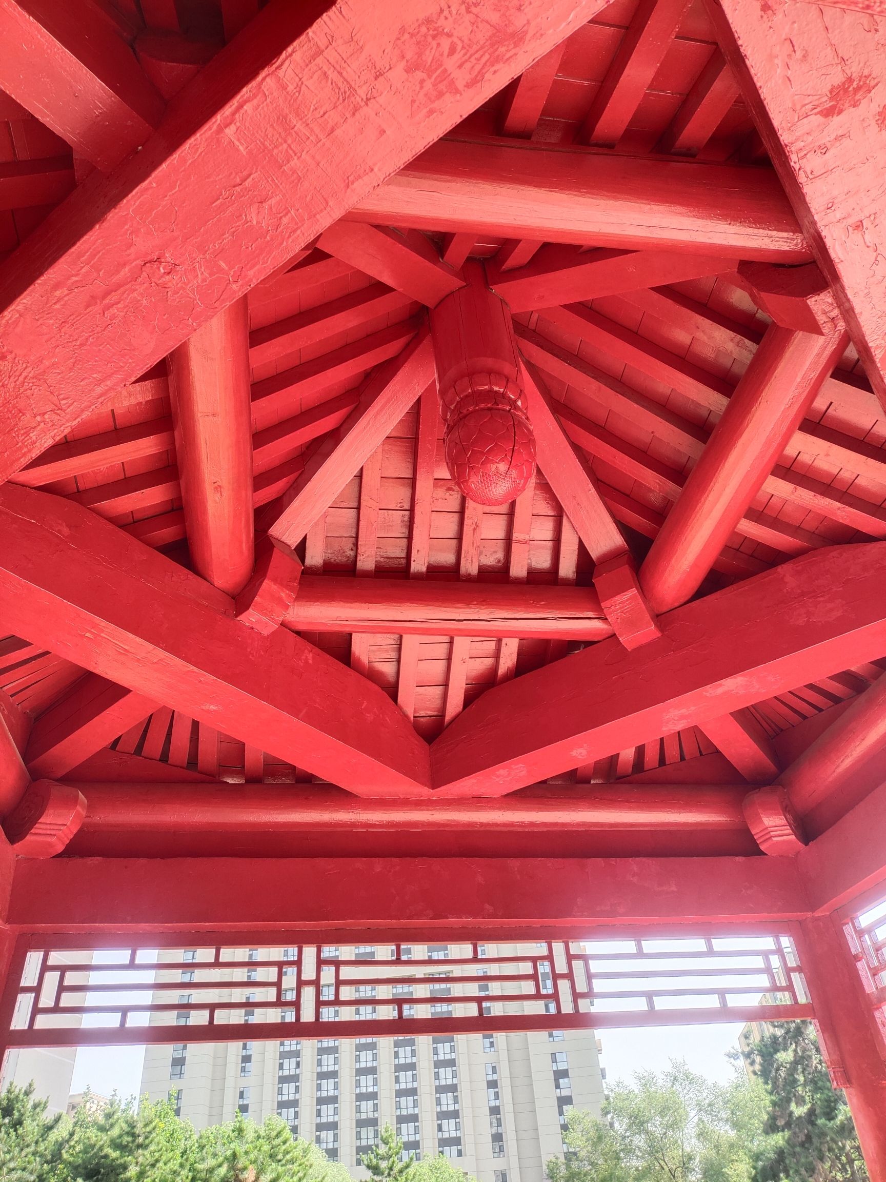 中山公园(和平南大街)旅行图片 3