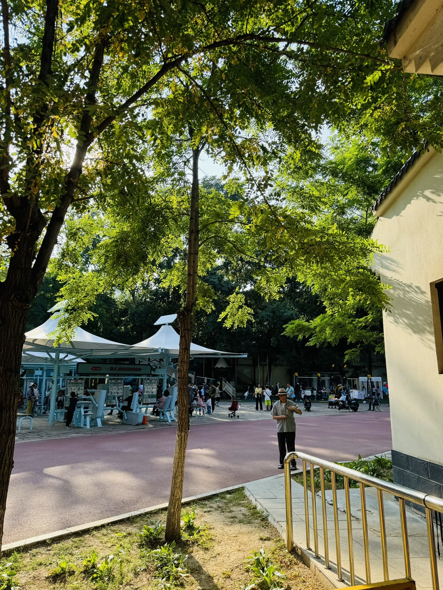 中山公园(和平南大街)旅行图片 3