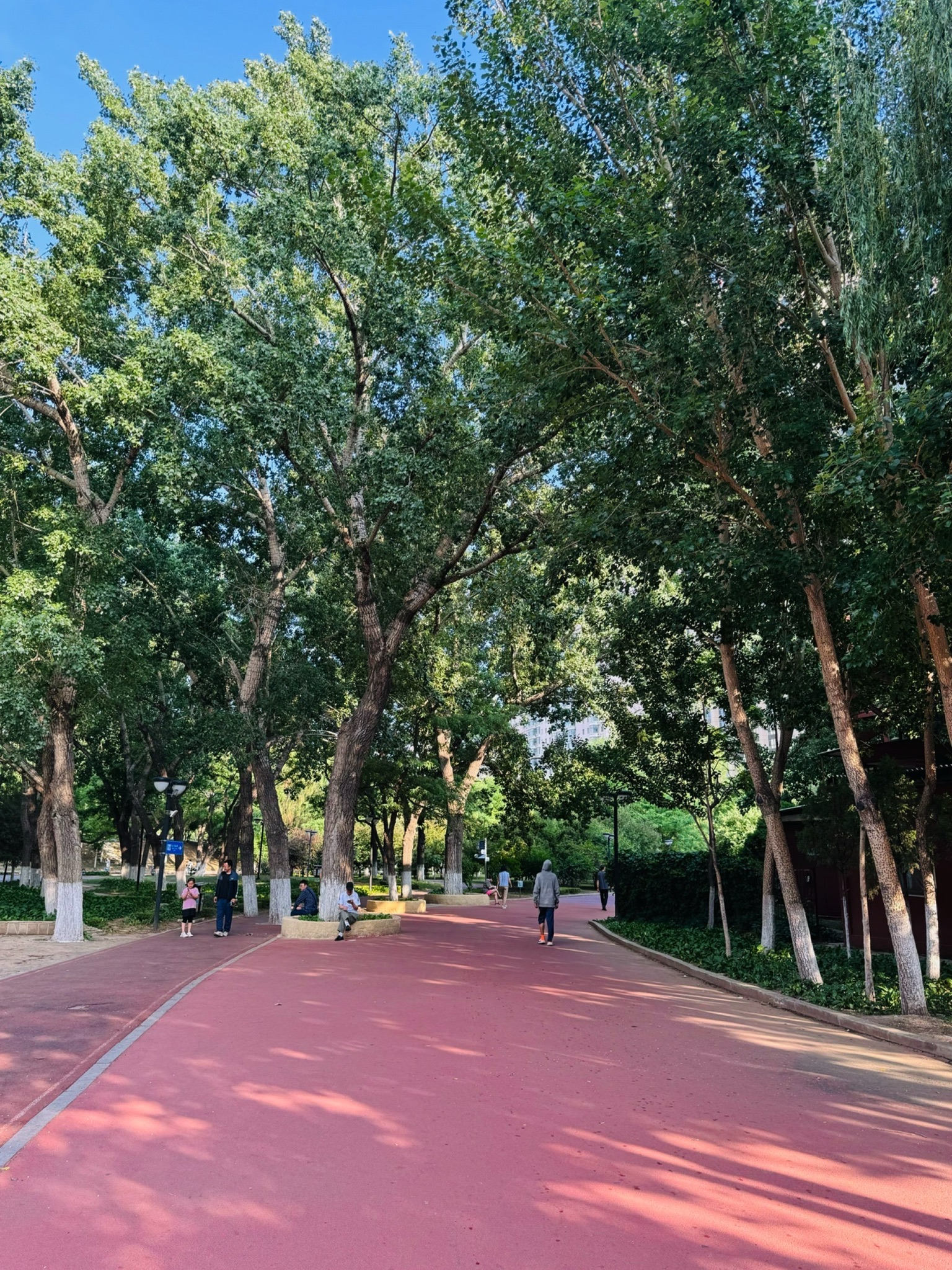 中山公园(和平南大街)旅行图片 1