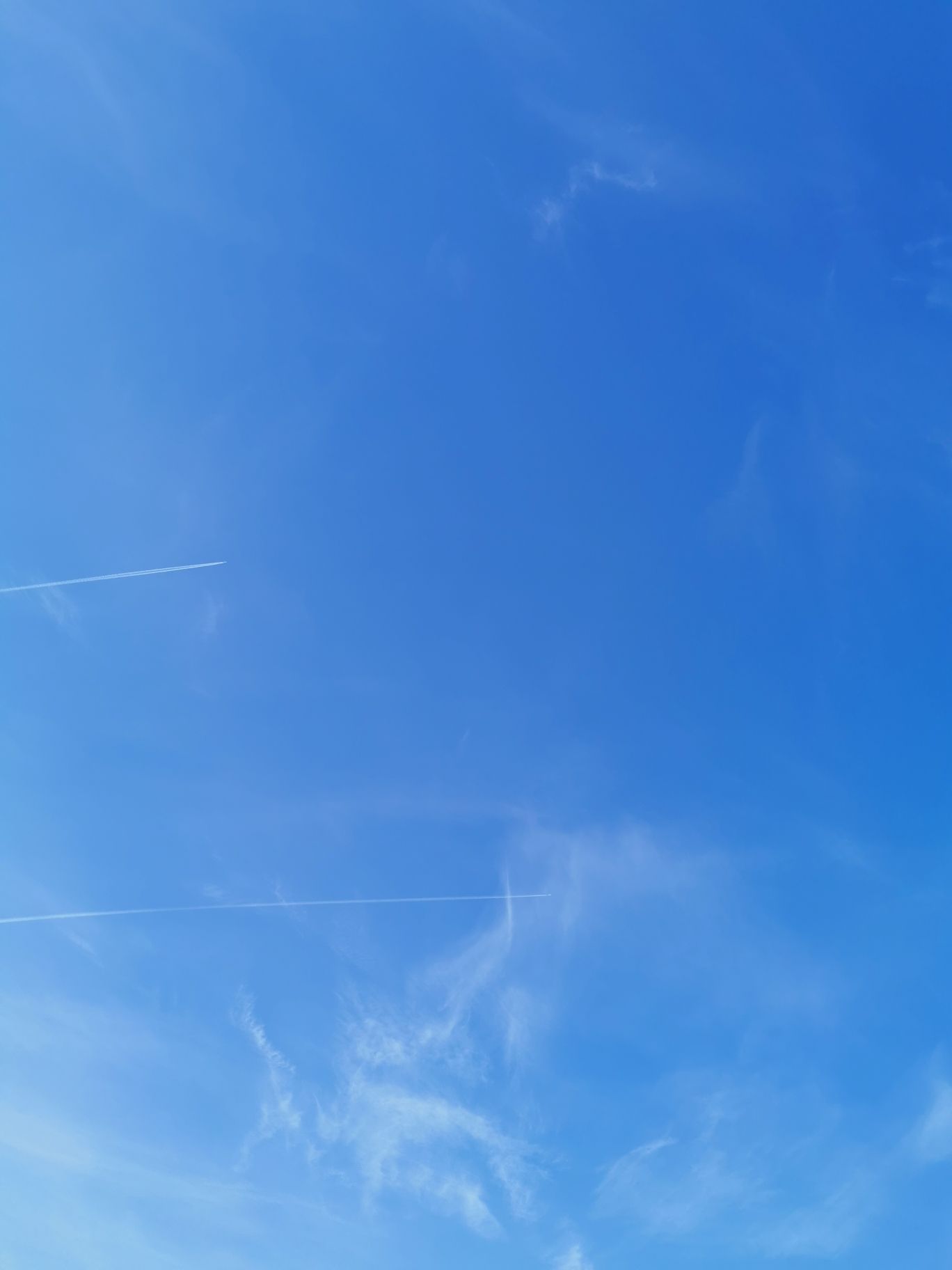 白清寨滑雪场(暂停开放)旅行图片 1