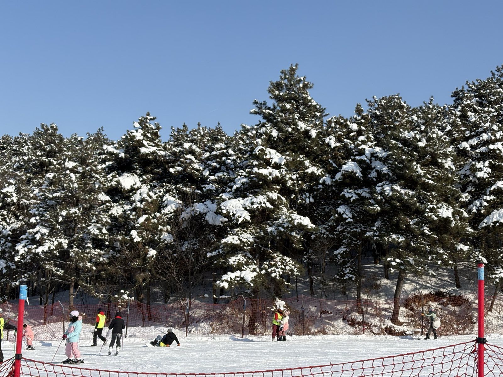 白清寨滑雪场(暂停开放)旅行图片 1