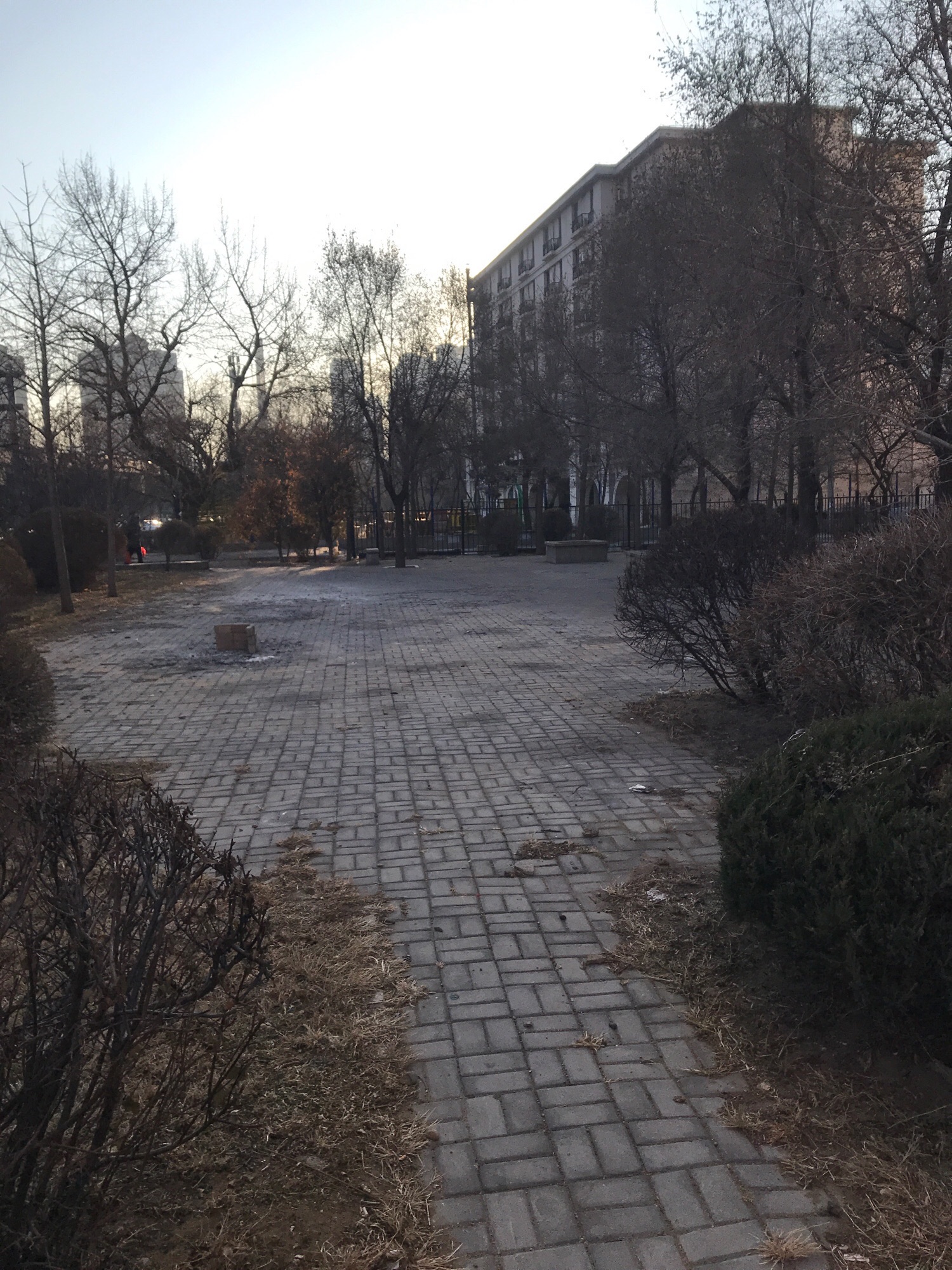 七星园旅行图片 3