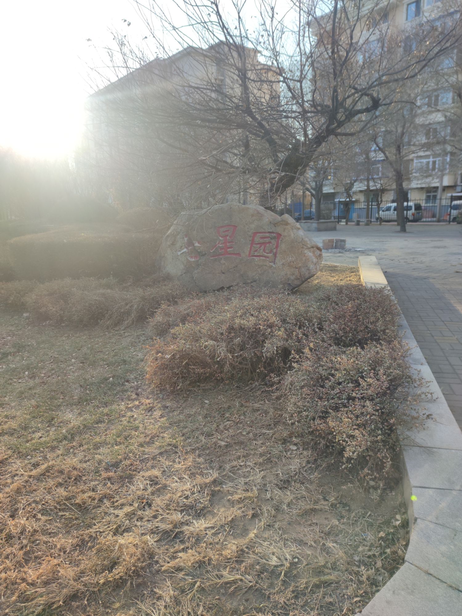 七星园旅行图片 1