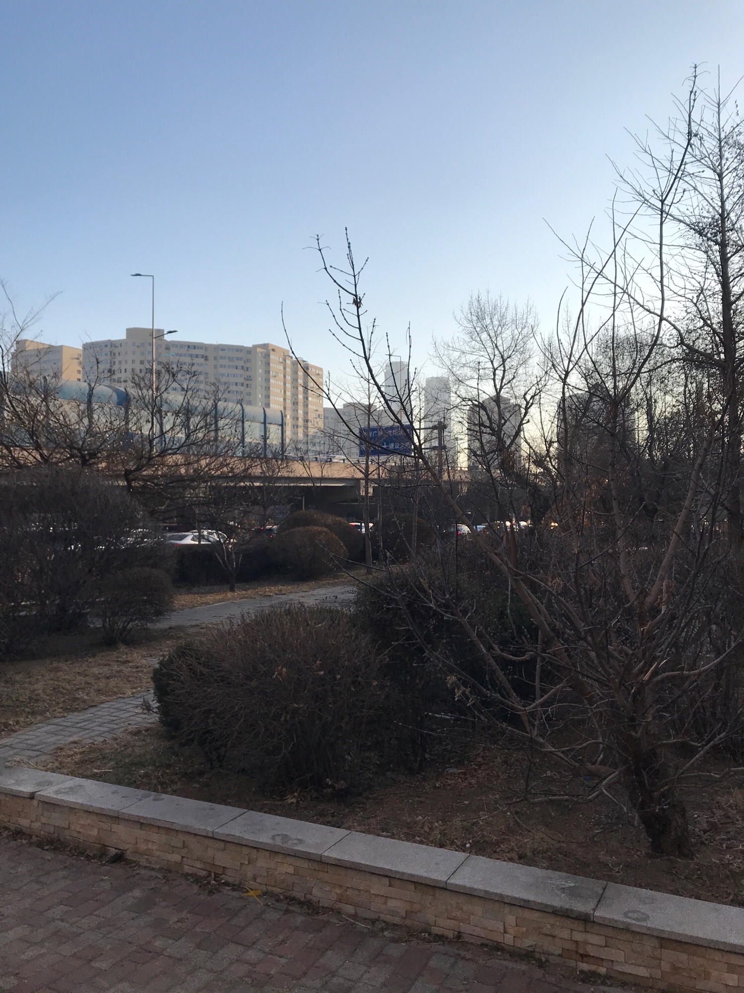 七星园旅行图片 1