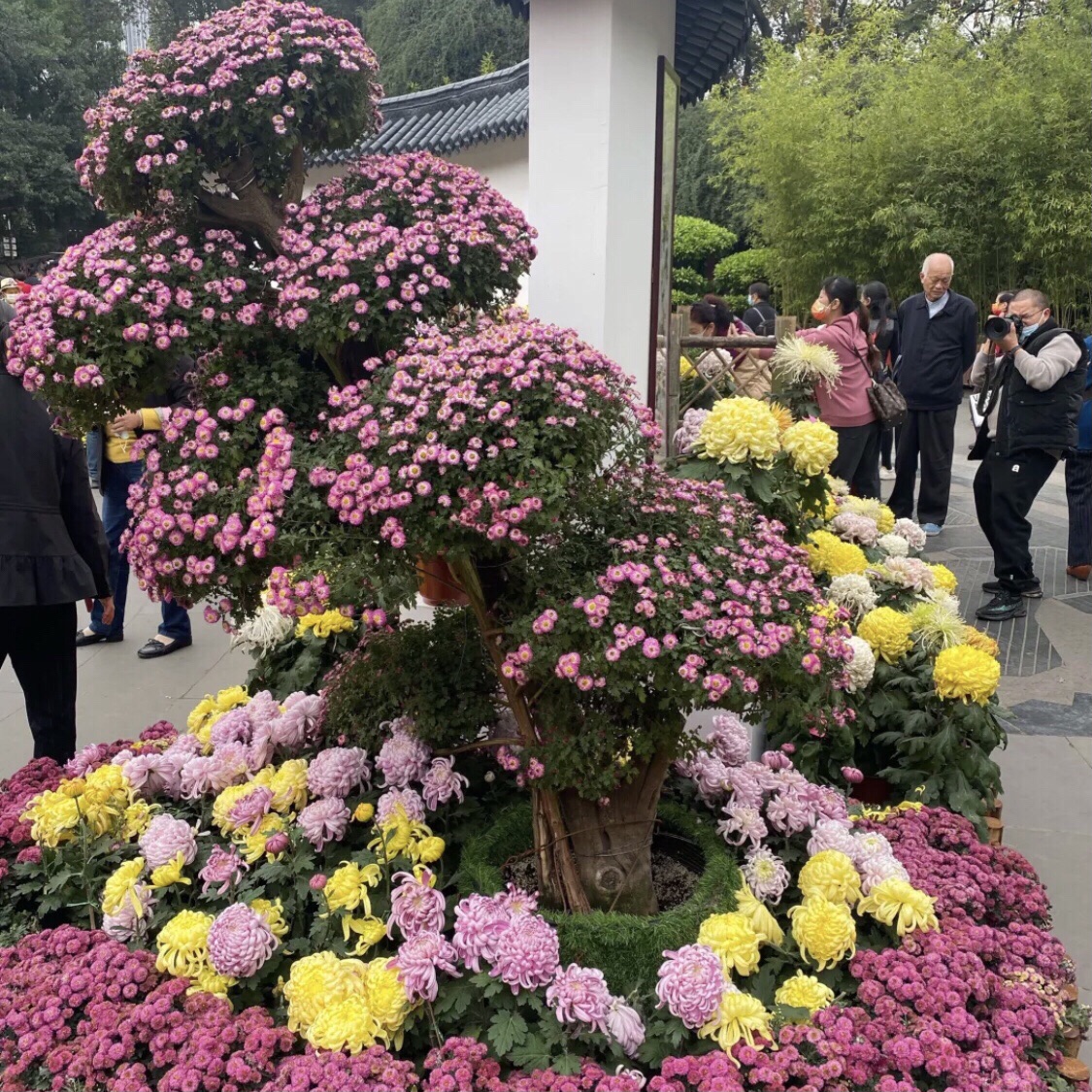 沈海园旅行图片 1