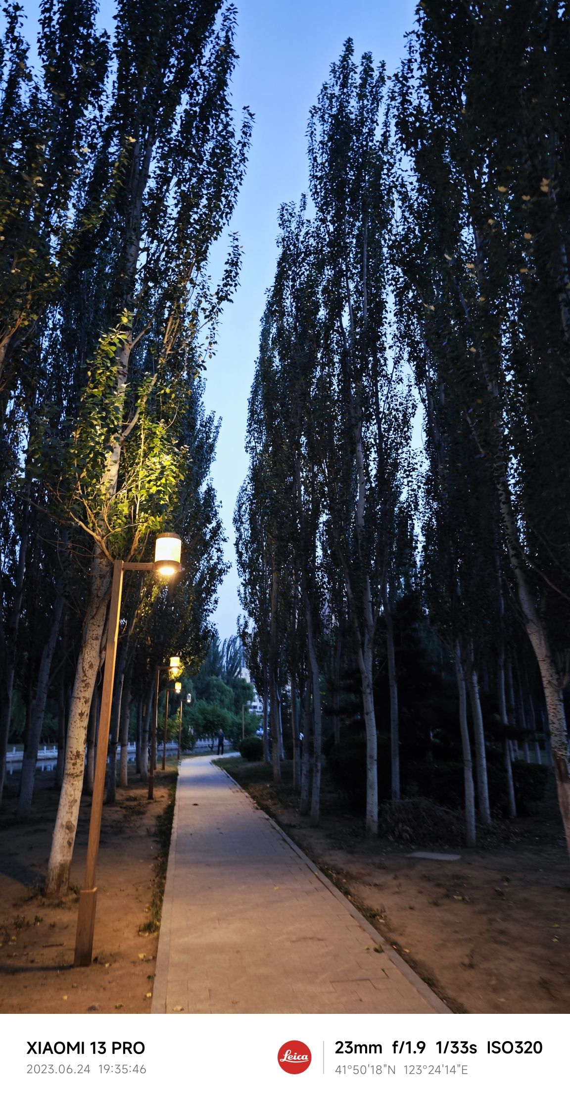 长江园旅行图片 3