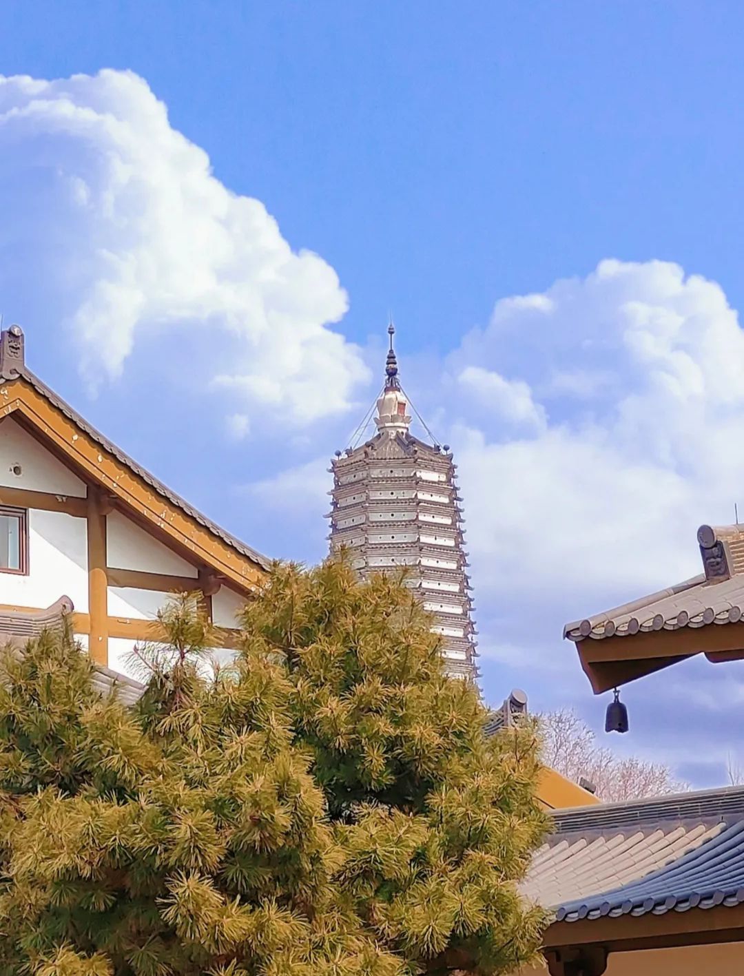舍利塔滩地公园旅行图片 1