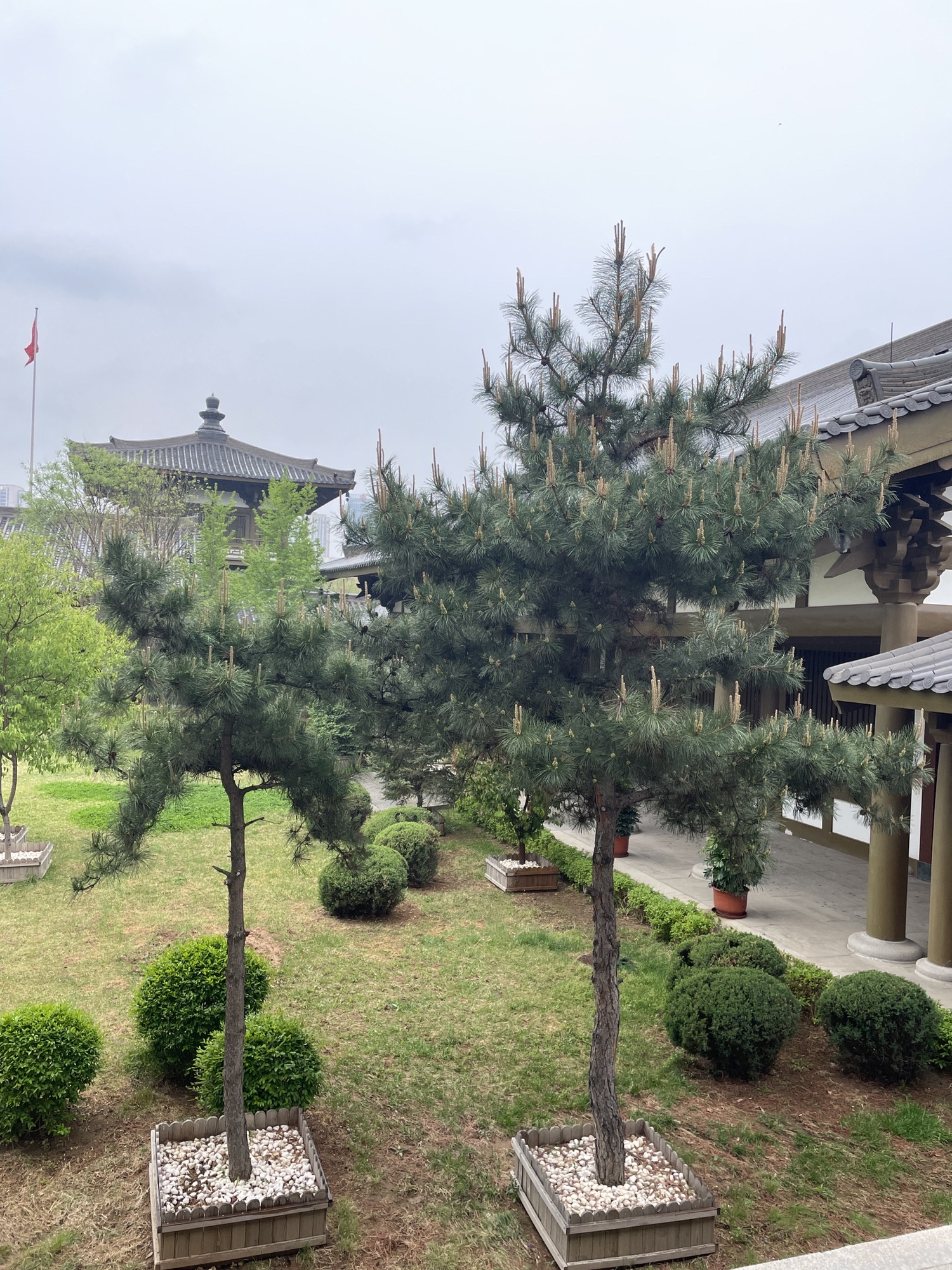 舍利塔滩地公园旅行图片 3