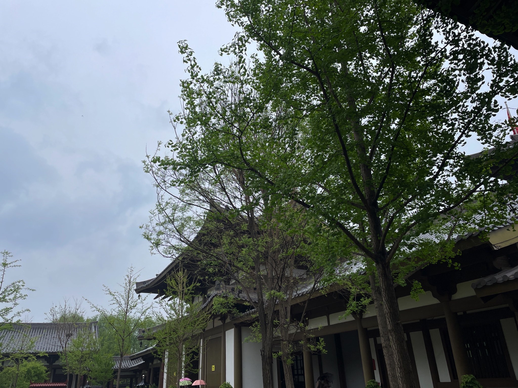 舍利塔滩地公园旅行图片 1