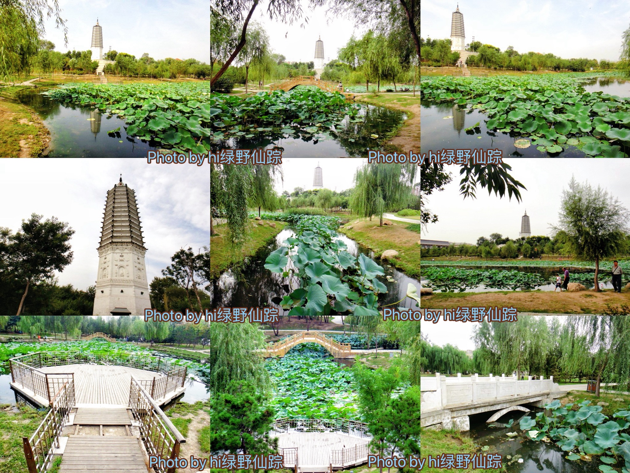 舍利塔滩地公园旅行图片 2