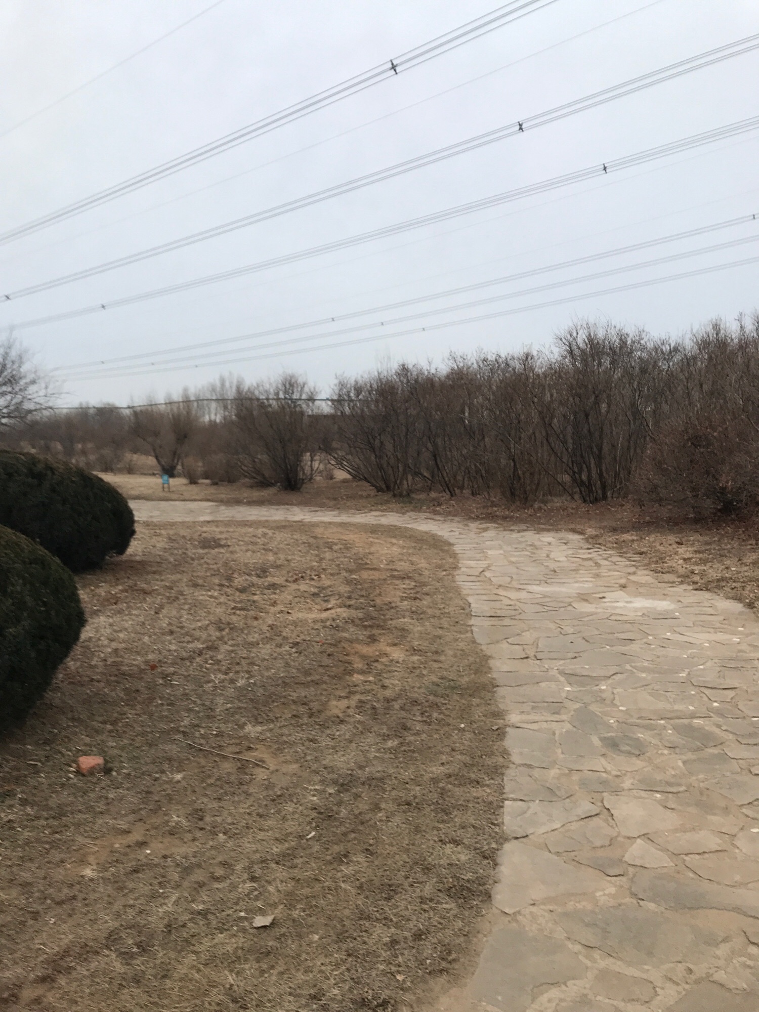 远大湿地公园旅行图片 1