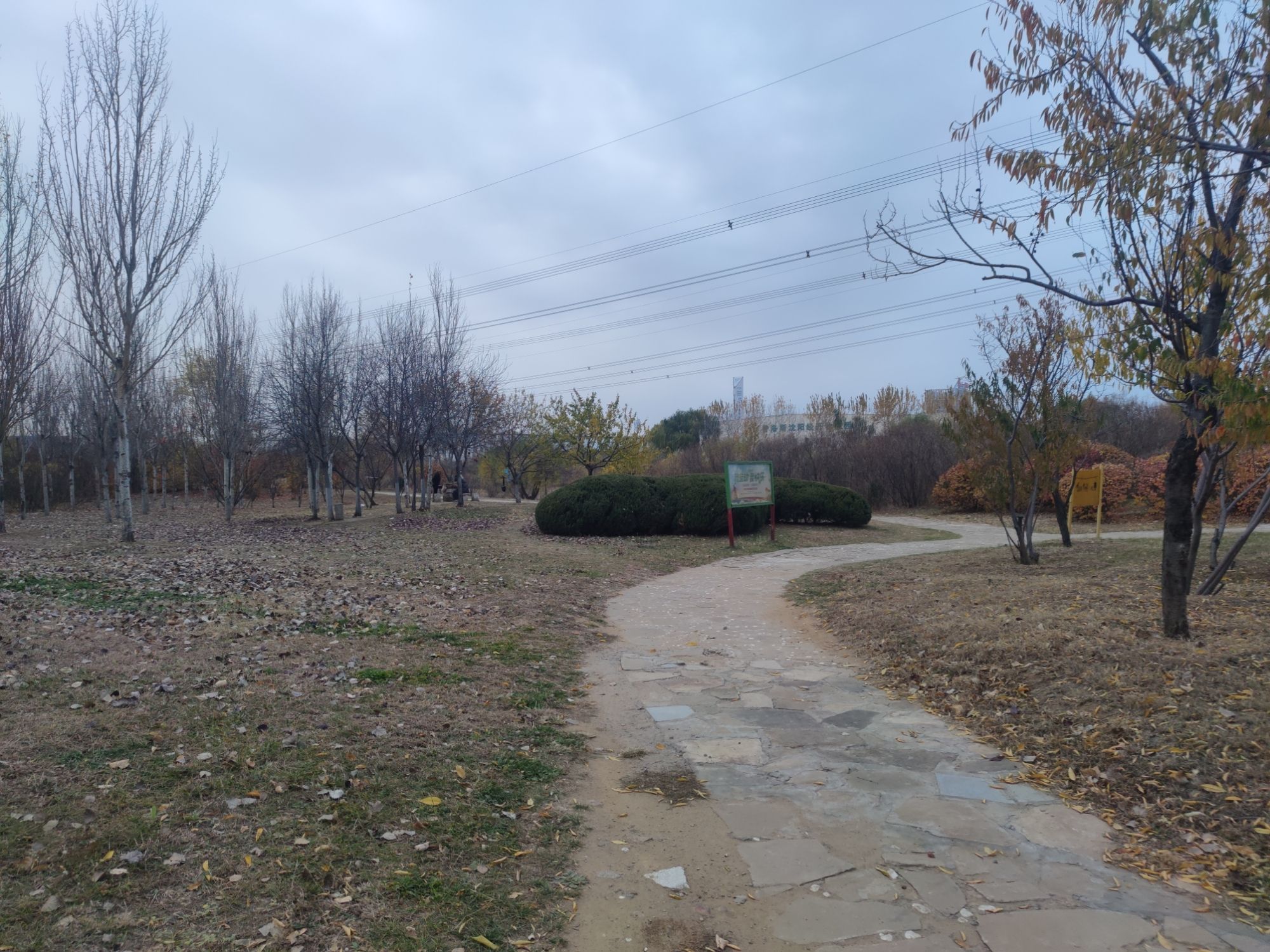 远大湿地公园旅行图片 2